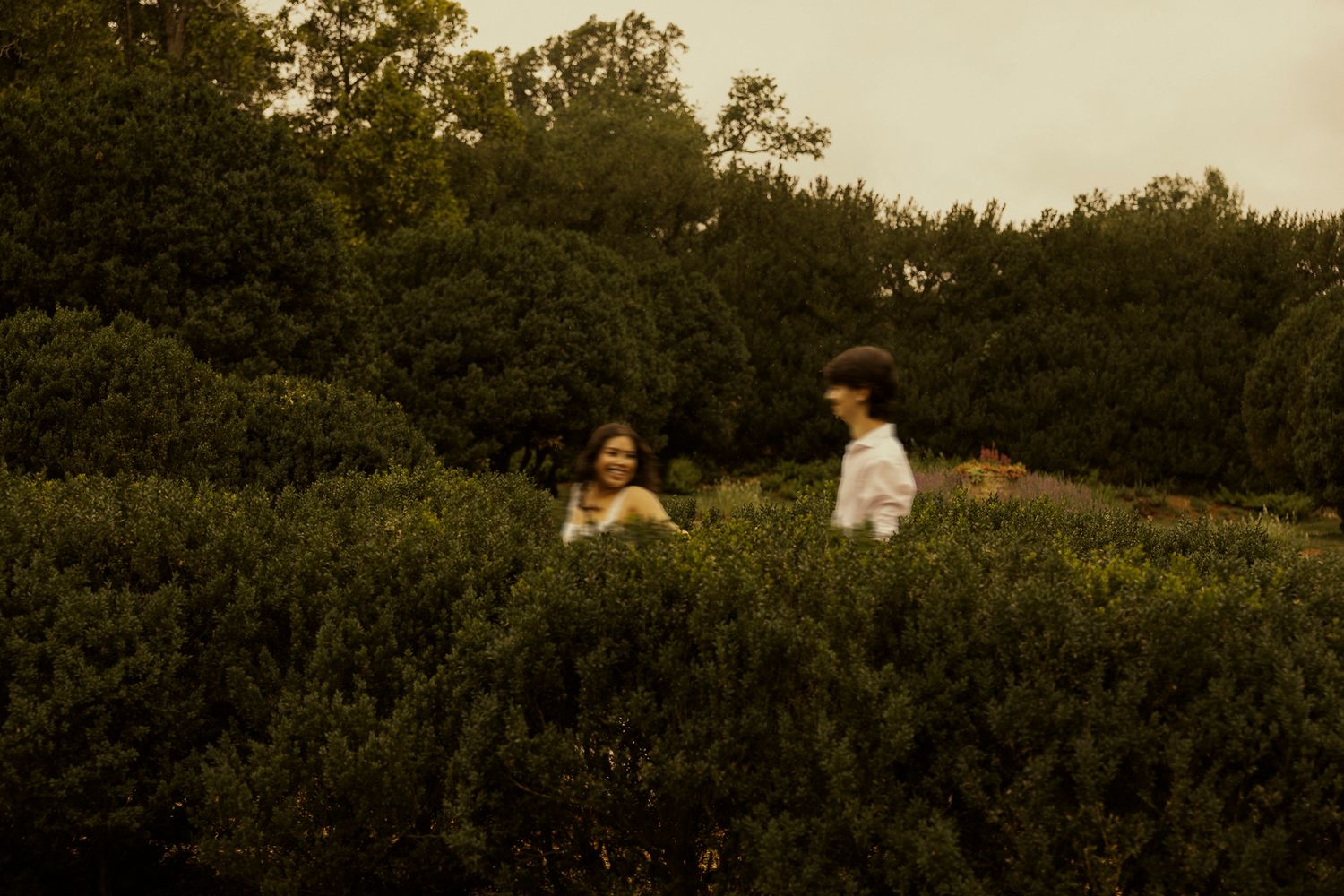 Two people laughing among lush green hedges in a garden during golden hour photography session.