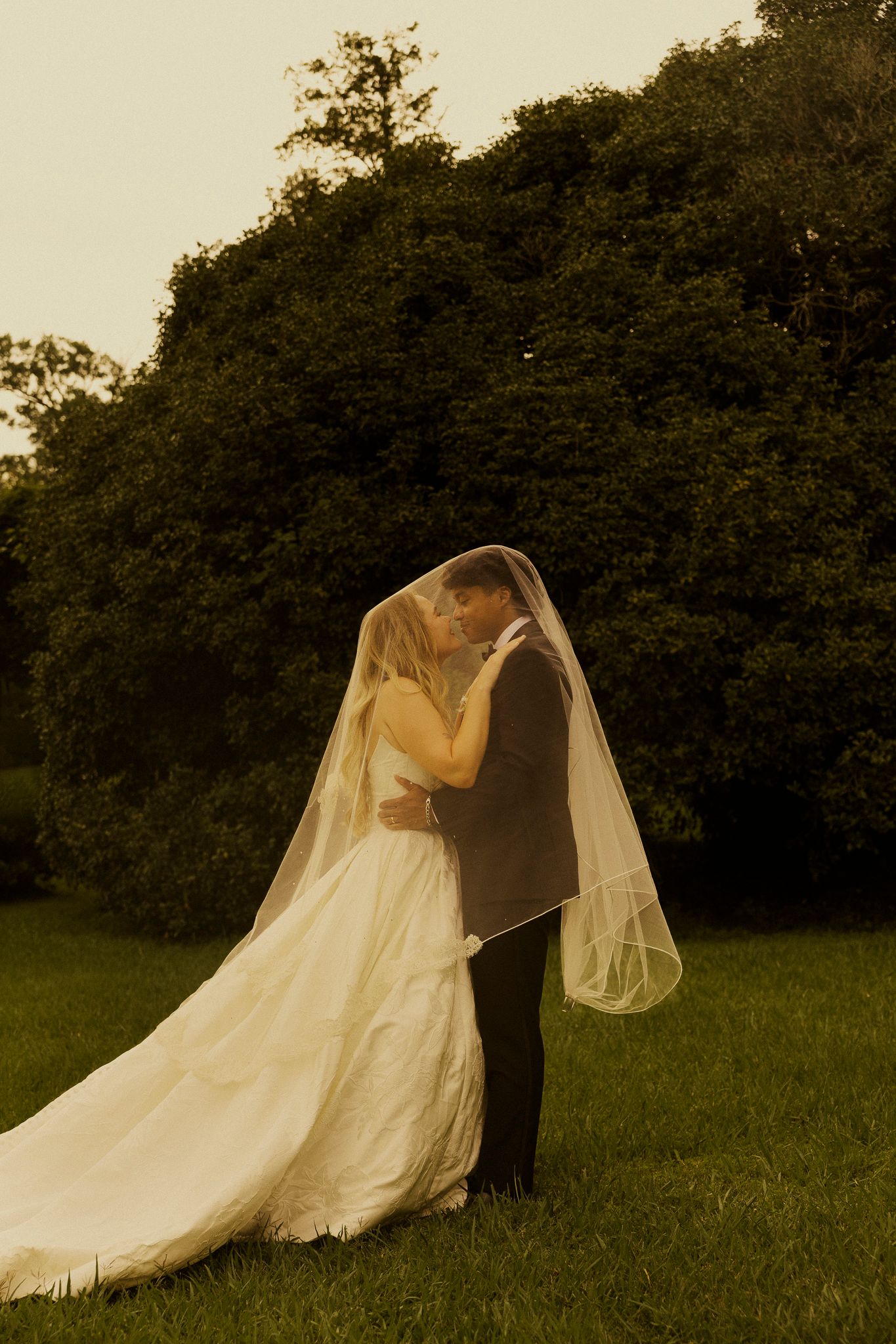 Bride and groom share a romantic kiss under a flowing veil on a lush green lawn at golden hour.