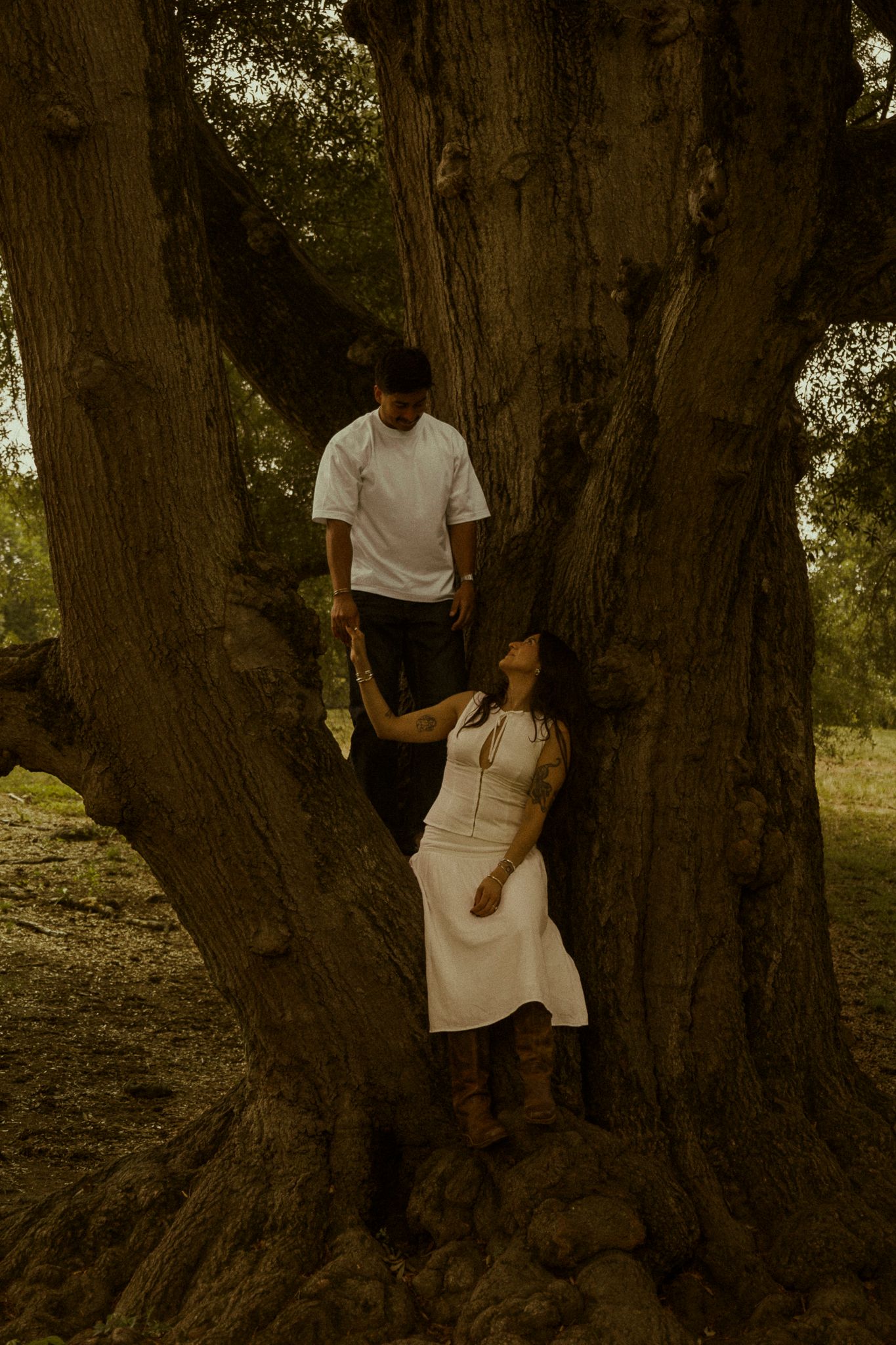 Couple poses romantically by a large ancient tree, woman in white dress leaning back as man stands above her.