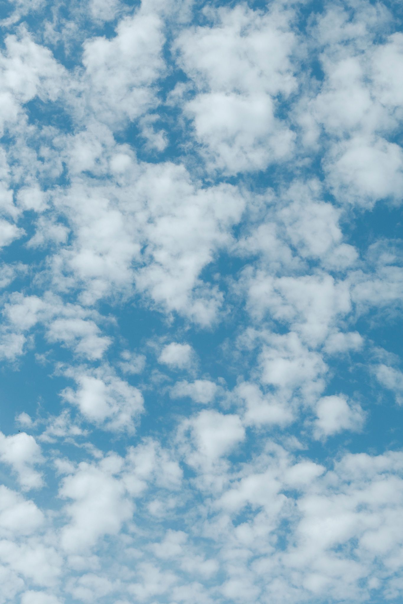 Fluffy white clouds drift across a bright blue summer sky in a seamless panoramic pattern.