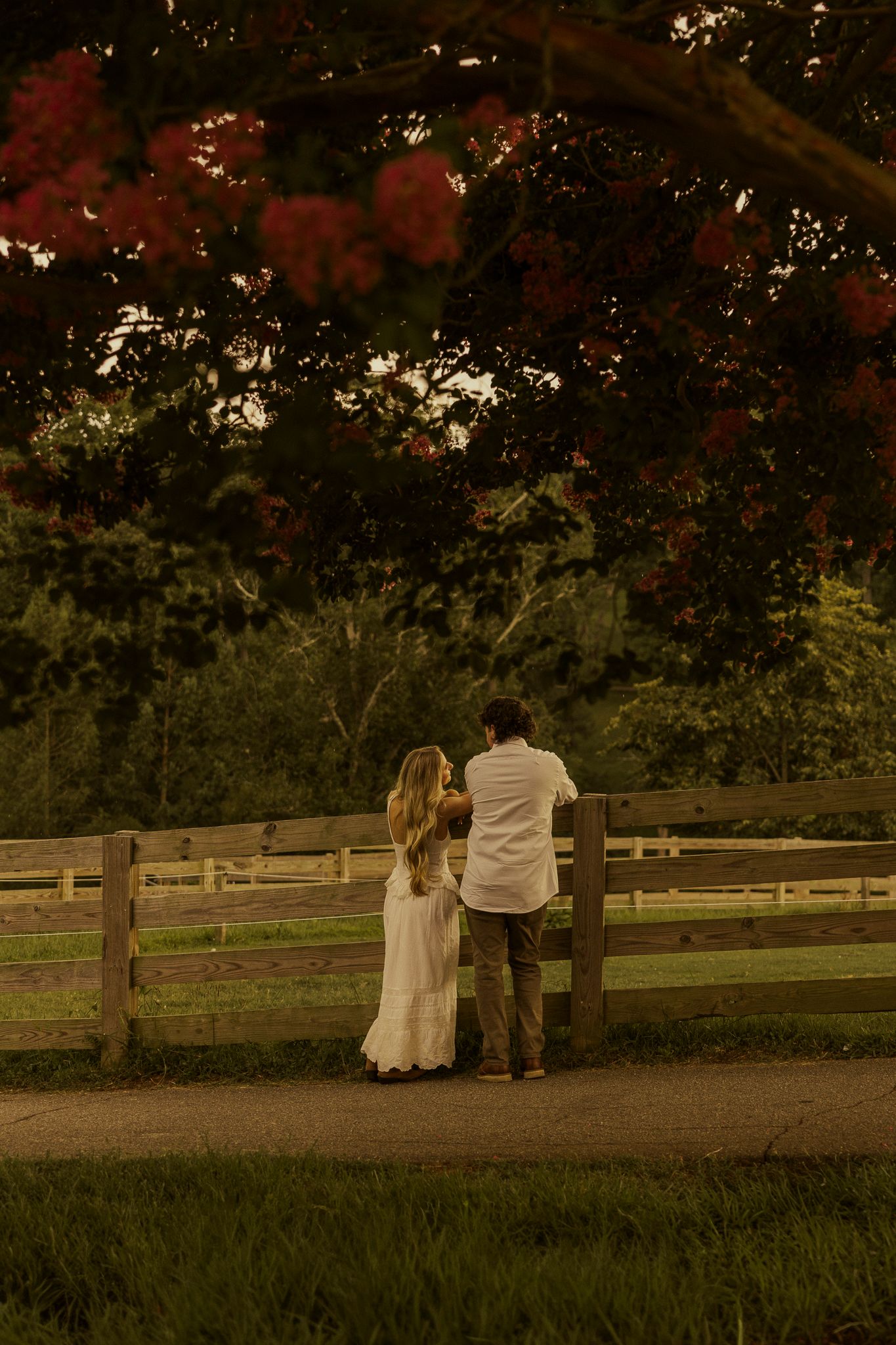 Couple in white standing by a rustic wooden fence under a canopy of red flowering trees at golden hour.