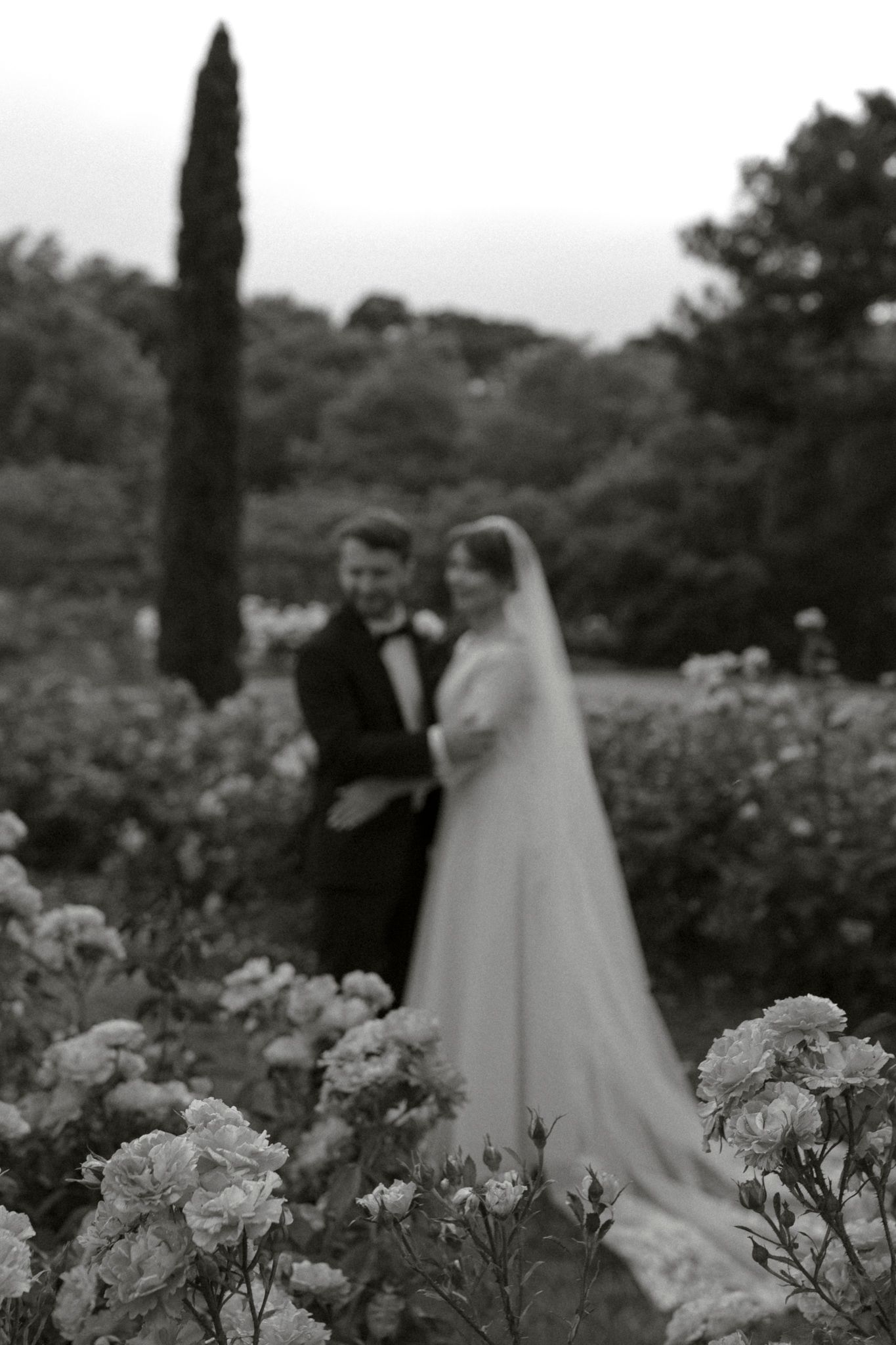 Black and white wedding photo of a couple standing in a garden with blooming white flowers and a cypress tree.