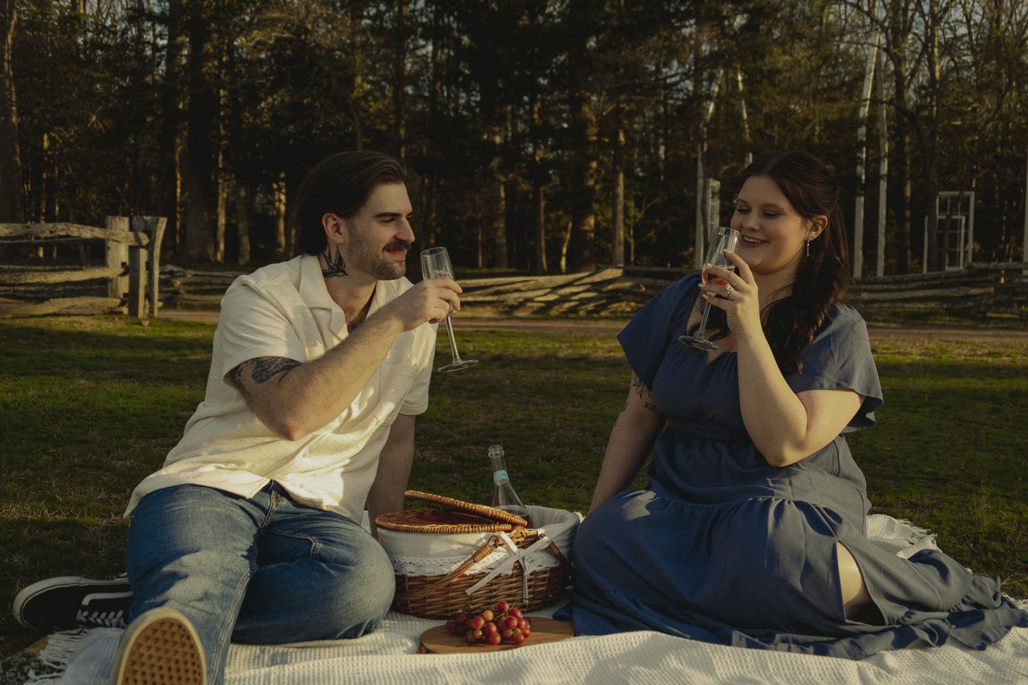Couple enjoying a romantic outdoor picnic, toasting with wine glasses on a blanket in a sunny park.