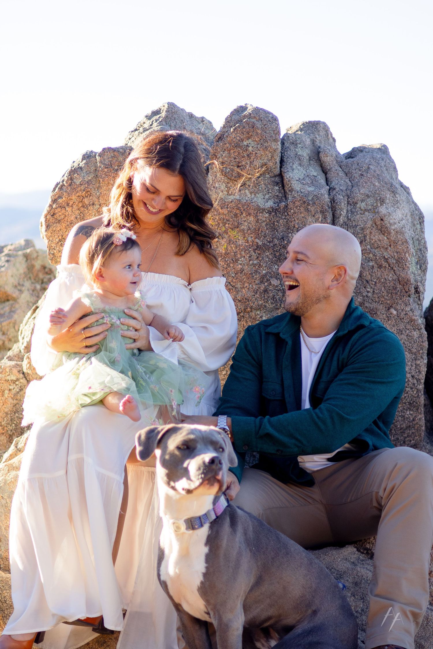 A family sits together on rocky terrain with their small dog while sharing tender moments at sunset.