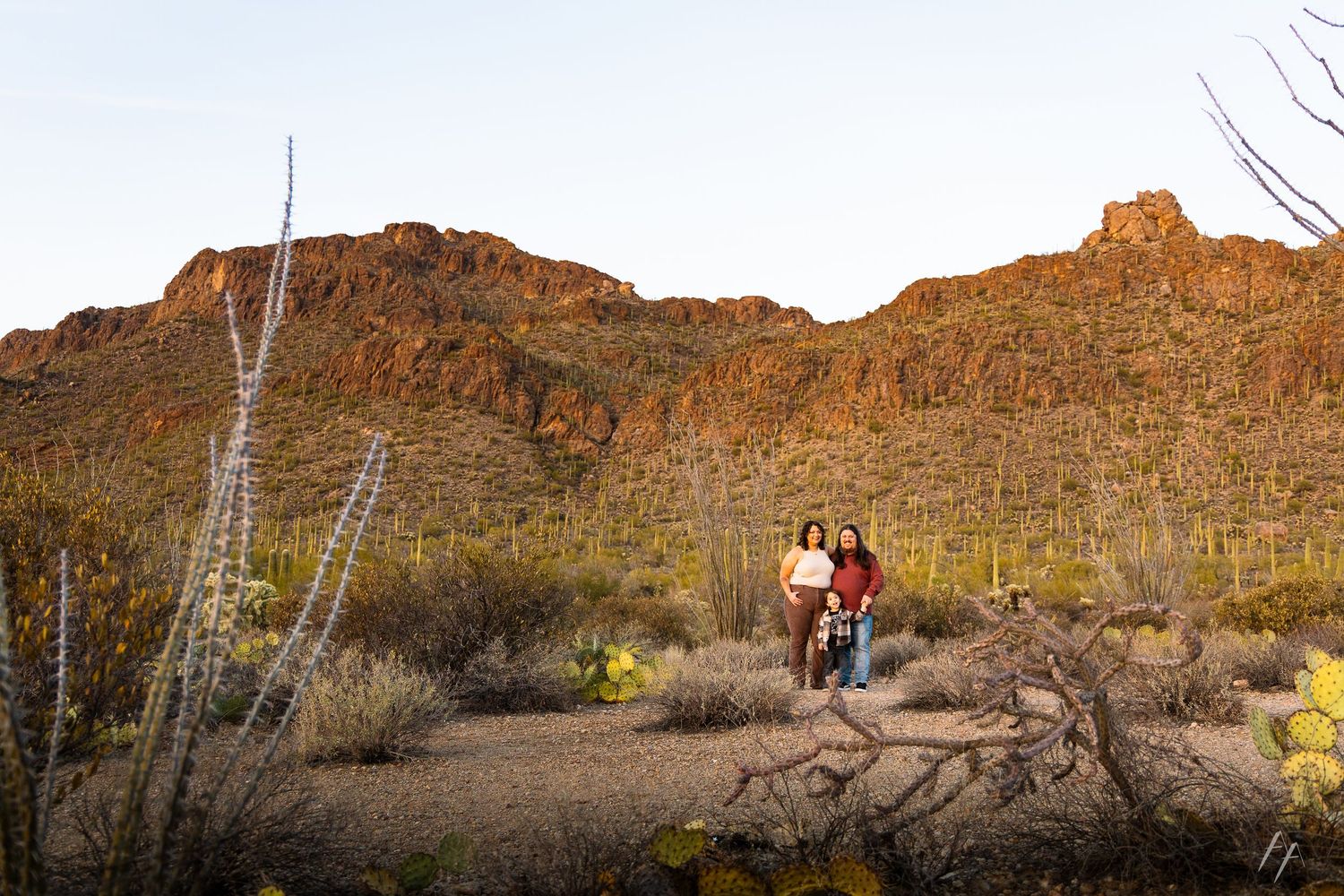 Desert landscape with saguaro cacti and rocky mountains silhouetted against a warm evening sky.