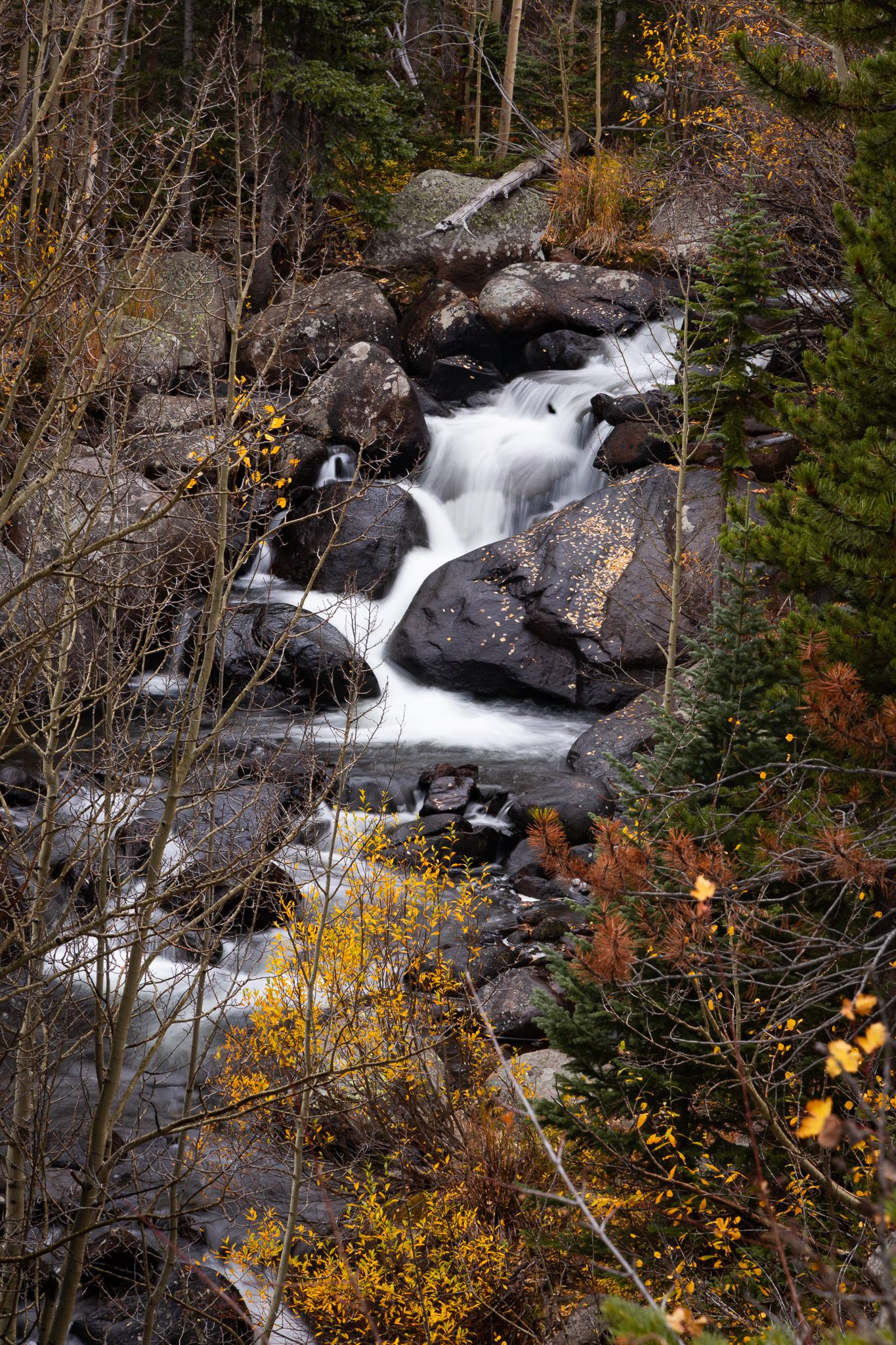 Cascading waterfall through rocky terrain with autumn foliage in mountain forest. Rocky Mountain National Park