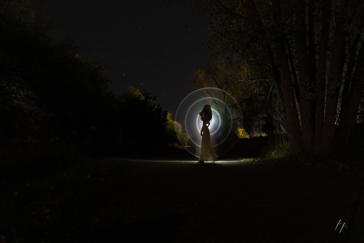 A person shines a flashlight beam through dark woods at night creating an eerie illuminated path through the trees.