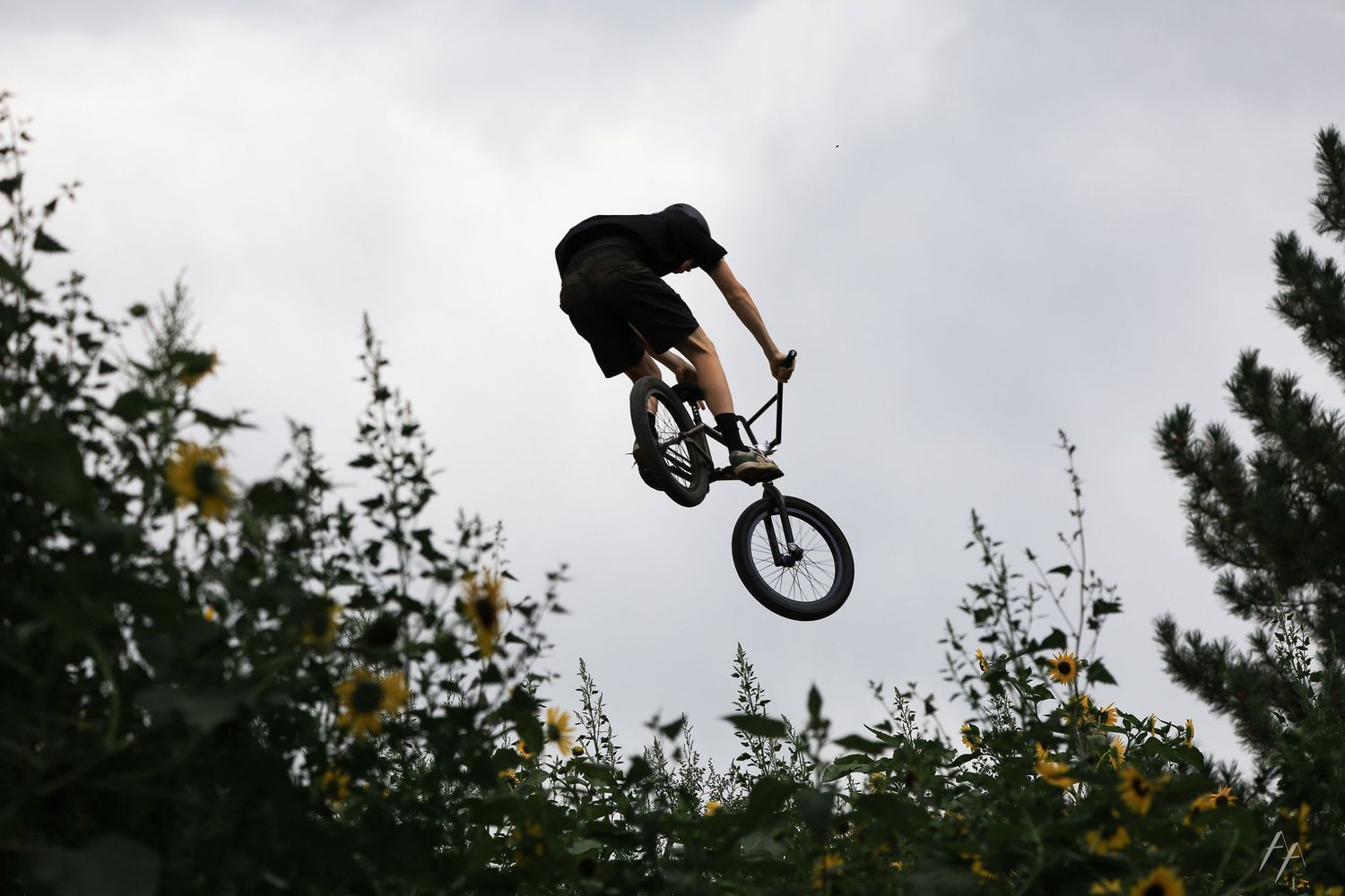 Silhouette of mountain biker performing aerial jump tricks against cloudy sky.