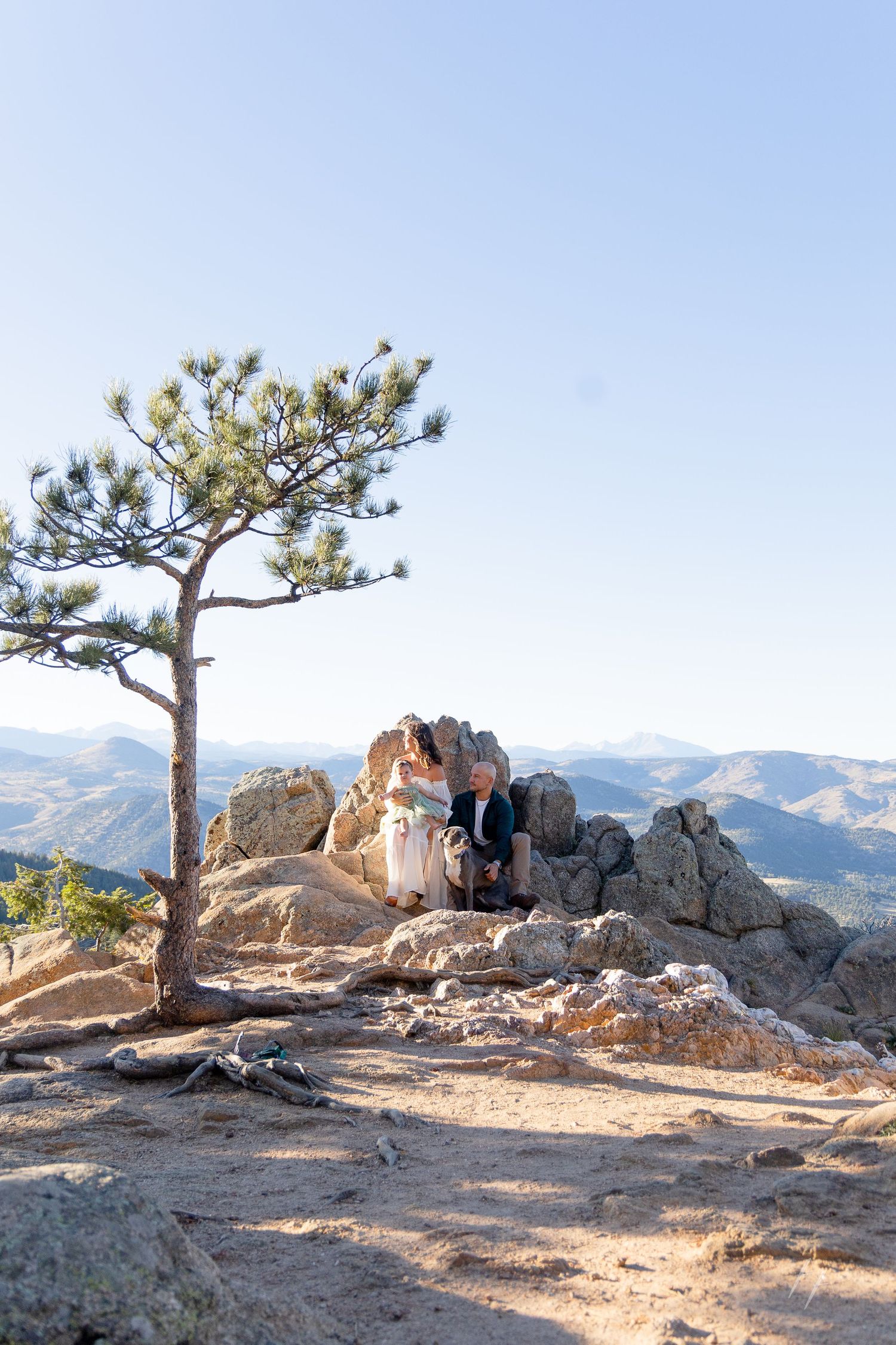 A panoramic sequence of a lone pine tree on a rocky mountain ridge against a clear blue sky in a wilderness landscape.