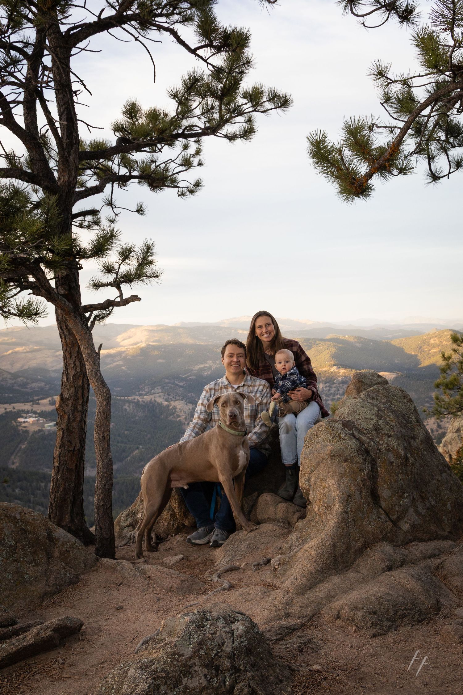 A group poses with their dog on a rocky mountain overlook with pine trees and sweeping valley views at sunset.