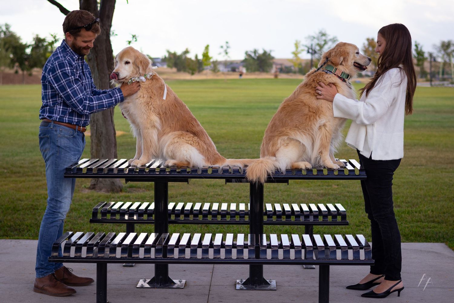 Engagement photos in Erie Colorado with Dogs