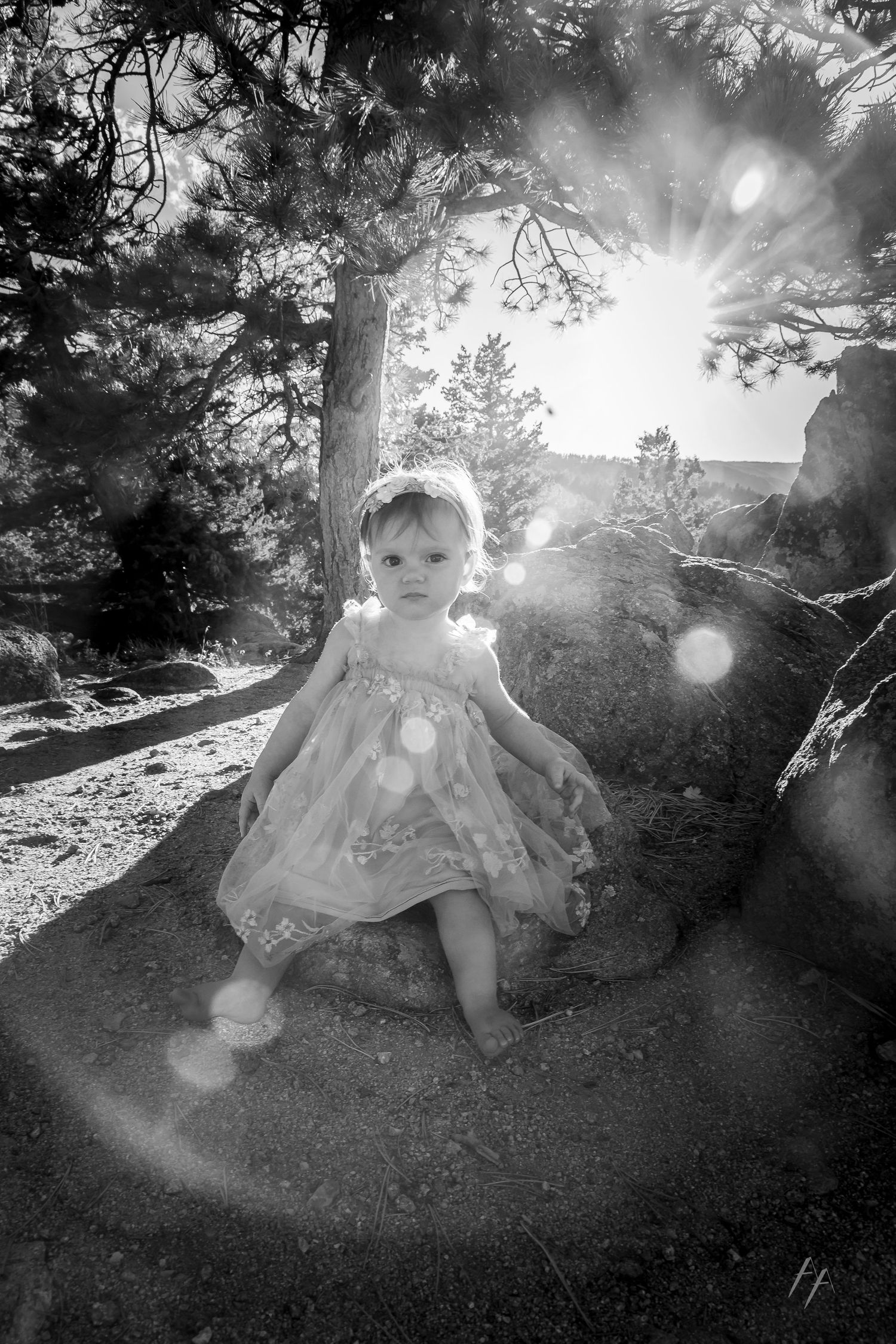 A black and white photo series showing a small doll sitting in a forest setting with dramatic sunlight filtering through trees.