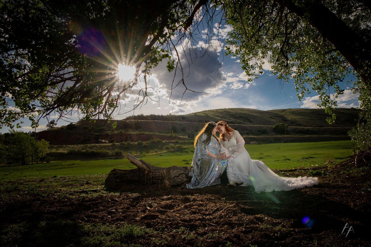 Two brides in white gowns sit together under a tree in a scenic green field with sunburst and rolling hills.