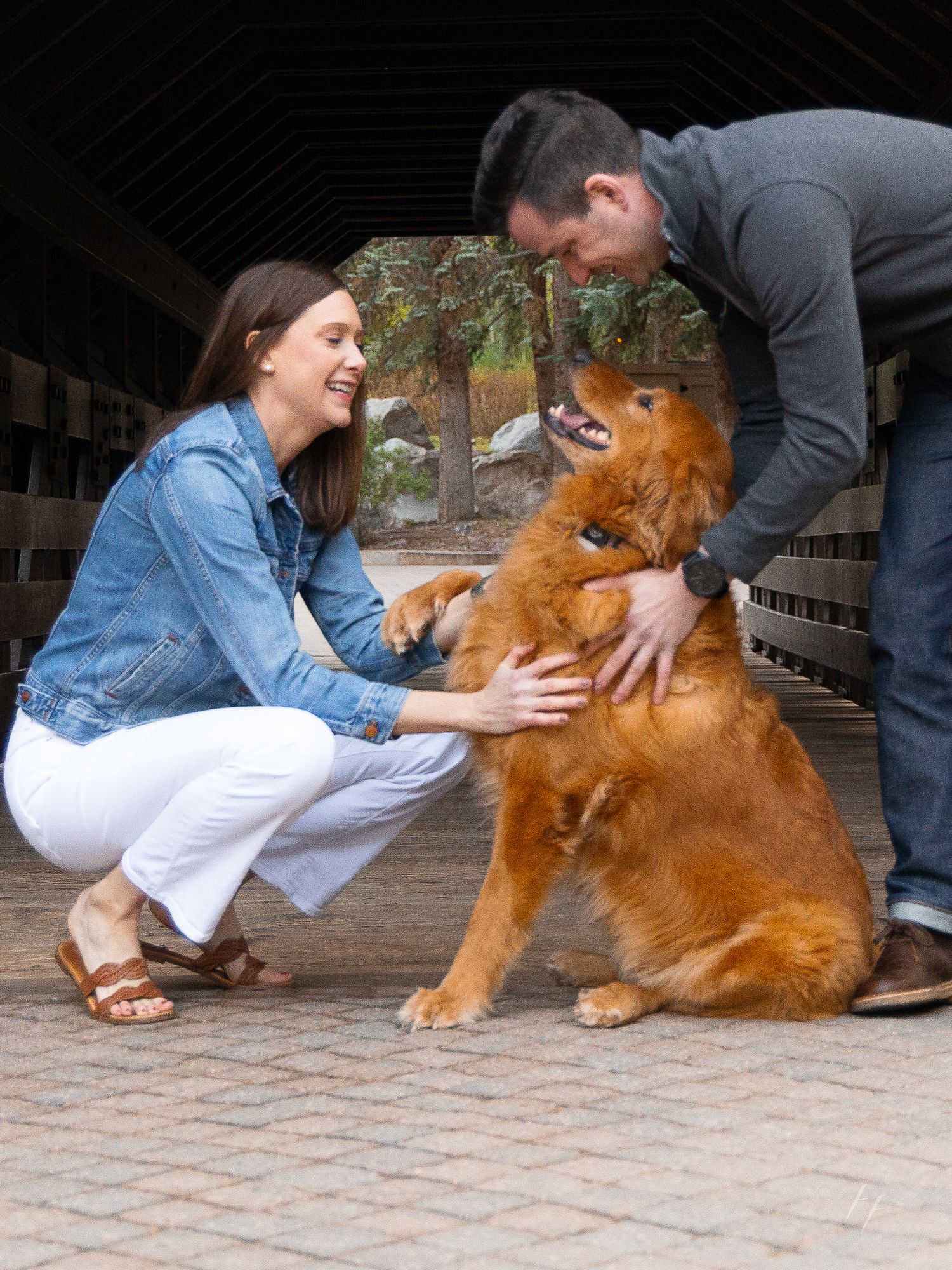 A smiling woman in a denim shirt and a man in gray pet a happy golden retriever dog outdoors.