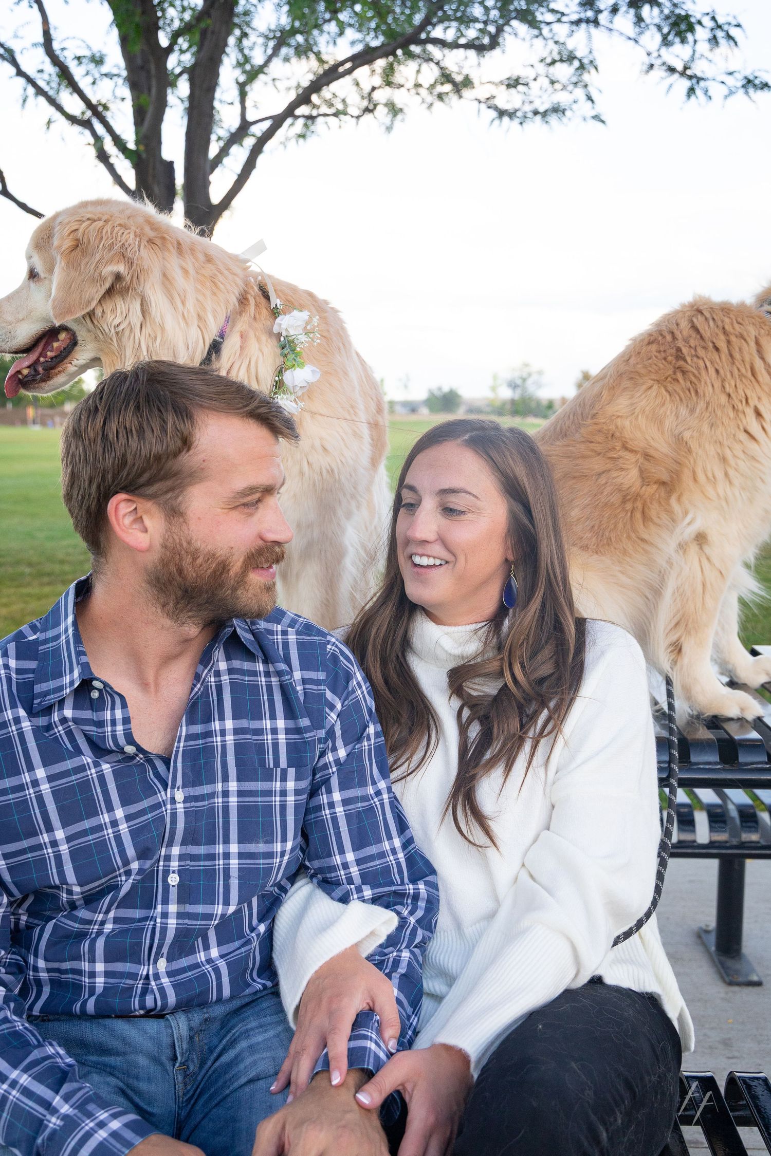 A smiling couple sits on a park bench with a golden retriever dog standing behind them outdoors.