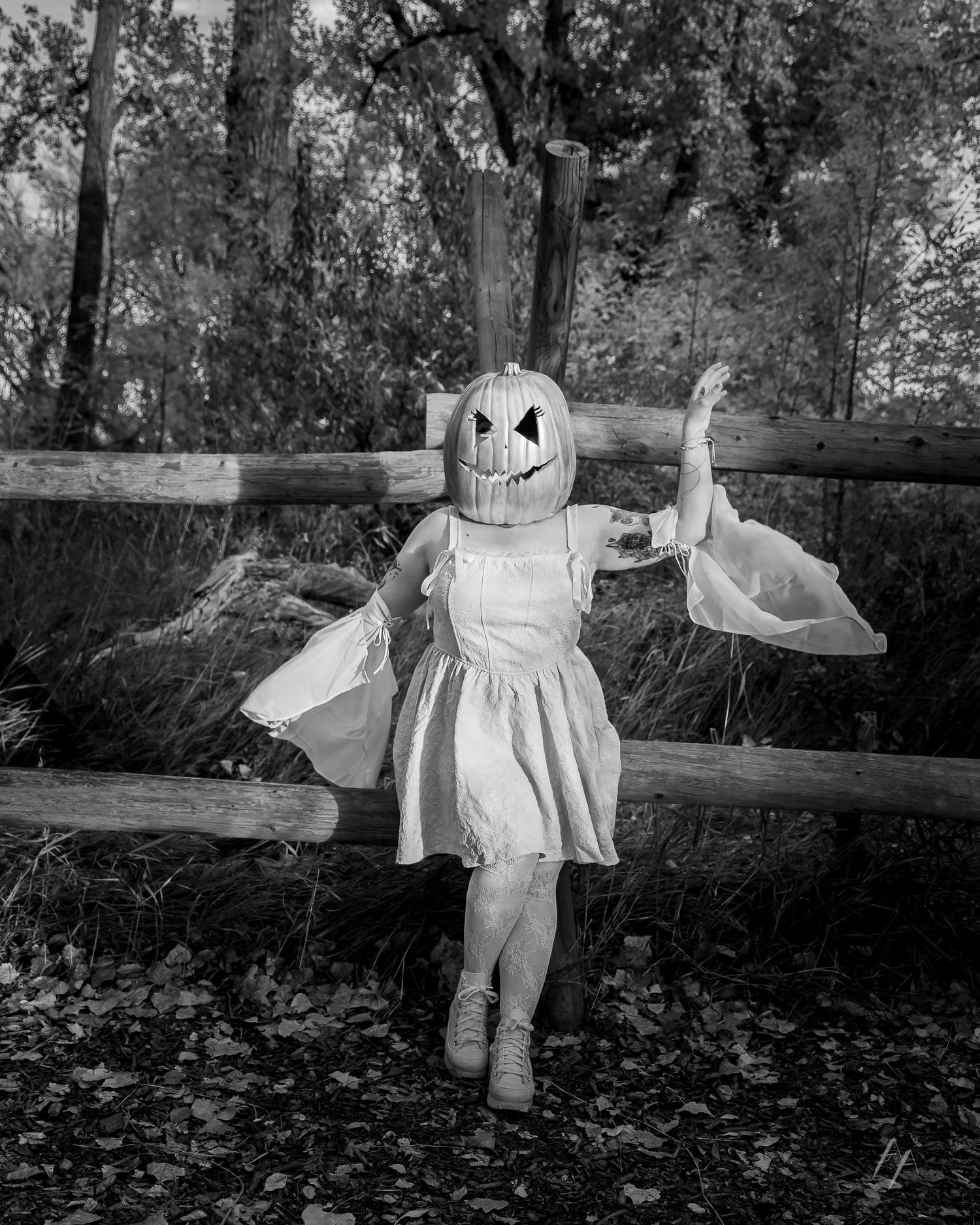 A whimsical black and white photo of a masked figure in a dress posing by a wooden fence. Broomfield Colorado