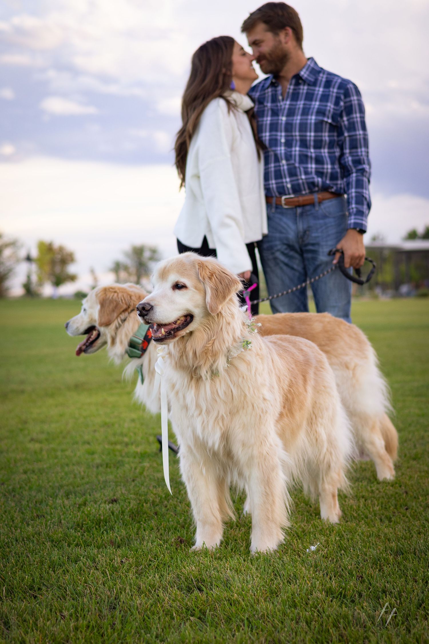 Engagement photos in Erie Colorado with Dogs