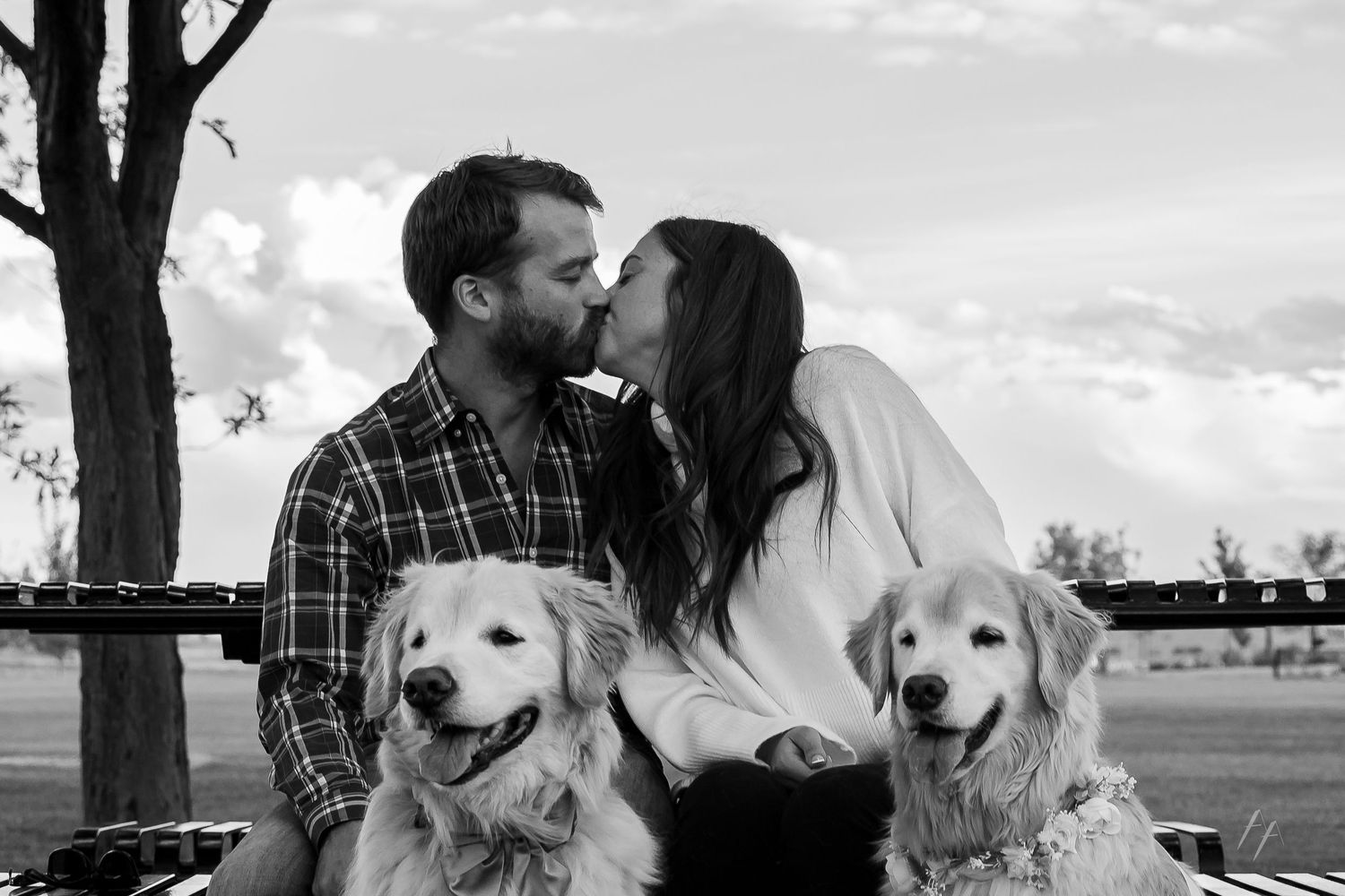 Couple with two golden retrievers taking romantic photos in outdoor setting.