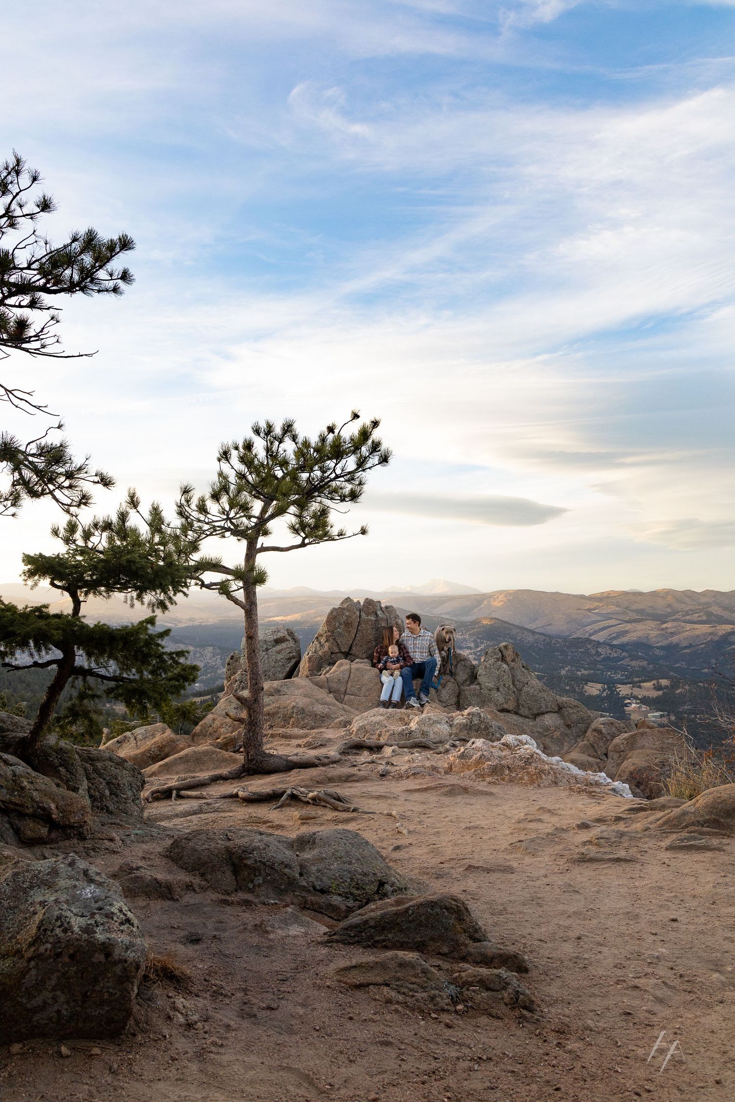 Hikers enjoy scenic mountain views from a rocky overlook with windswept pine trees in Colorado's wilderness.