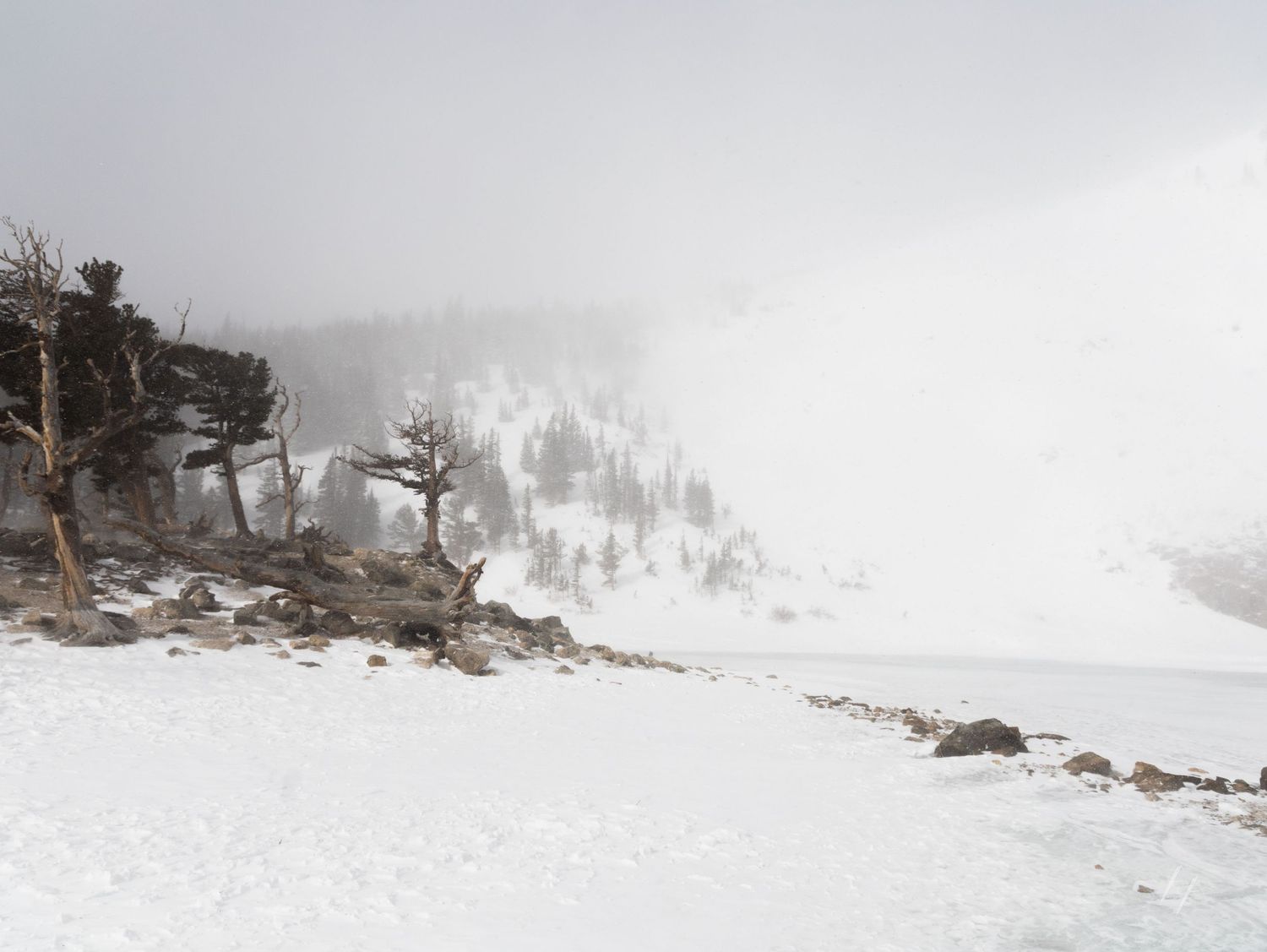 Snow-covered mountain slopes with evergreen trees in winter conditions.