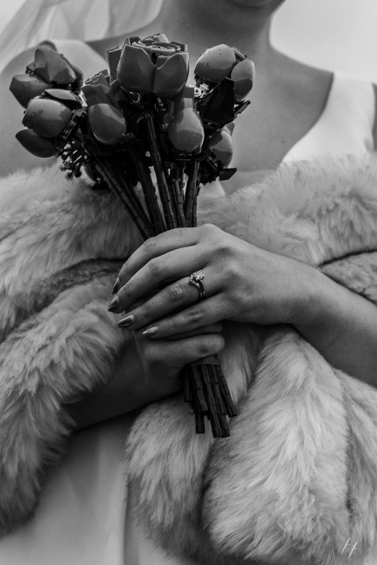 A series of black and white photos showing hands holding dried poppies against a fluffy white fur background.