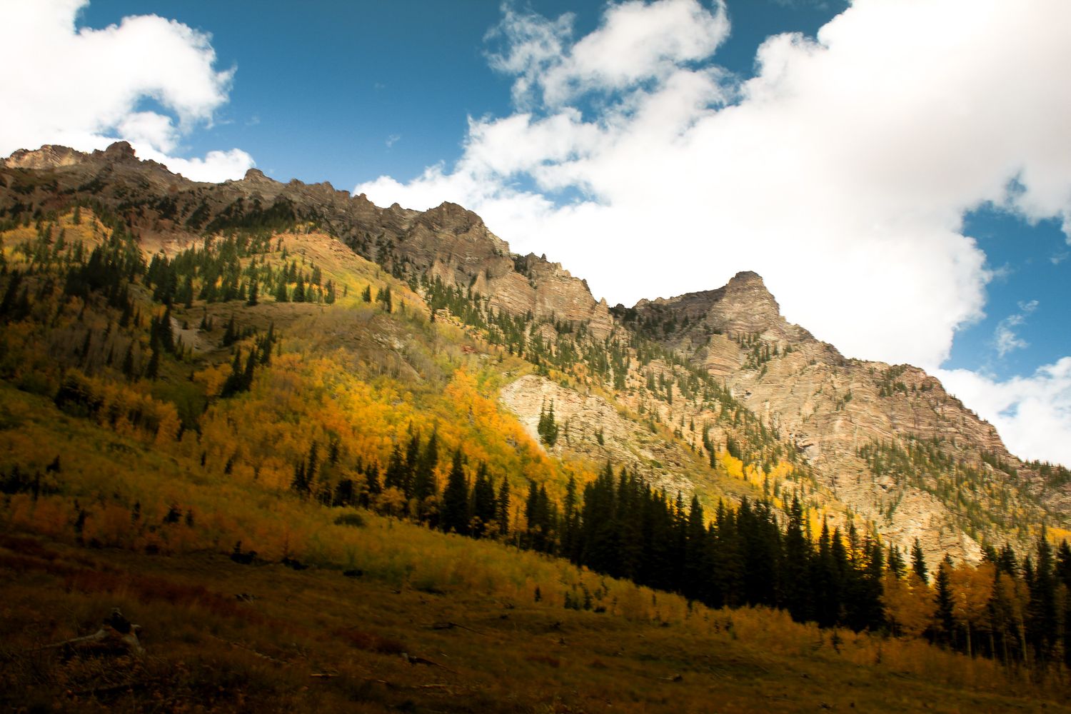 Guanella Pass Fall Colors
