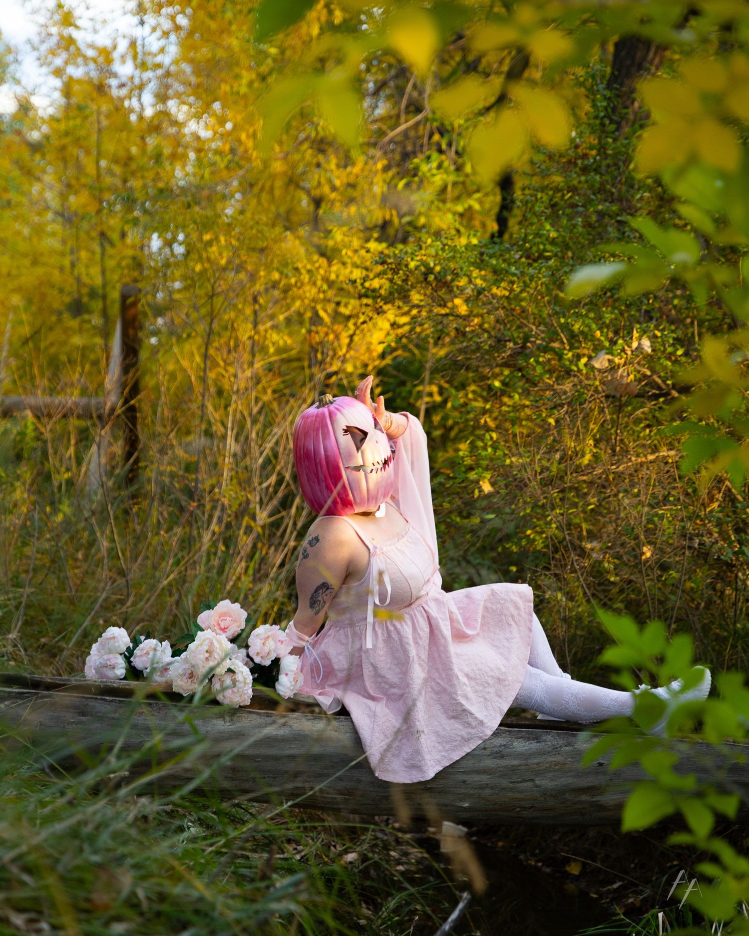 A dreamy autumn scene with pink dress and white roses on a rustic log.