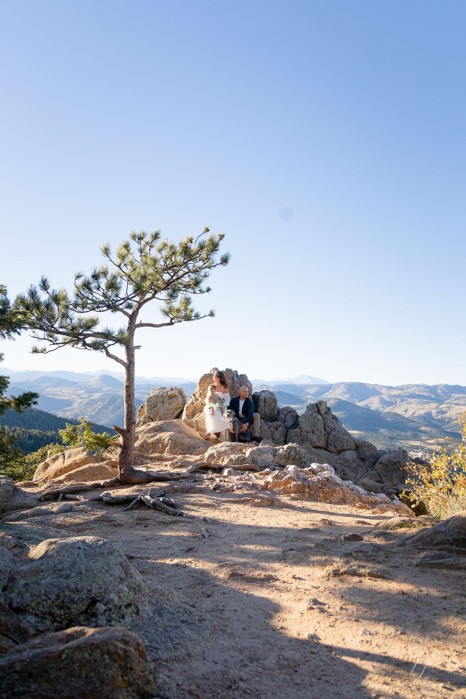A lone pine tree stands atop a rocky mountain summit overlooking distant peaks and valleys on a clear day.