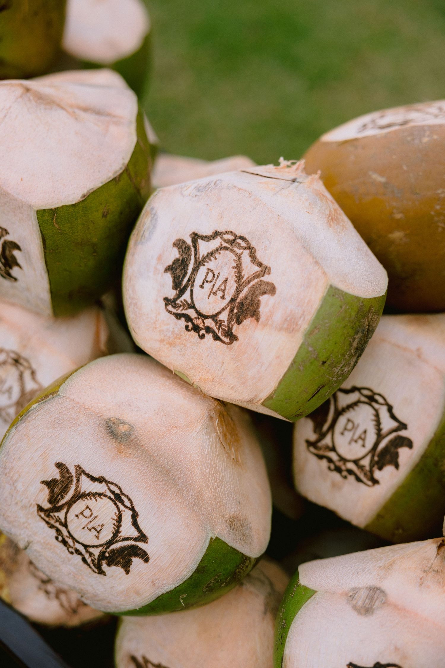 Outdoor destination wedding ceremony in Punta Cana surrounded by family and friends