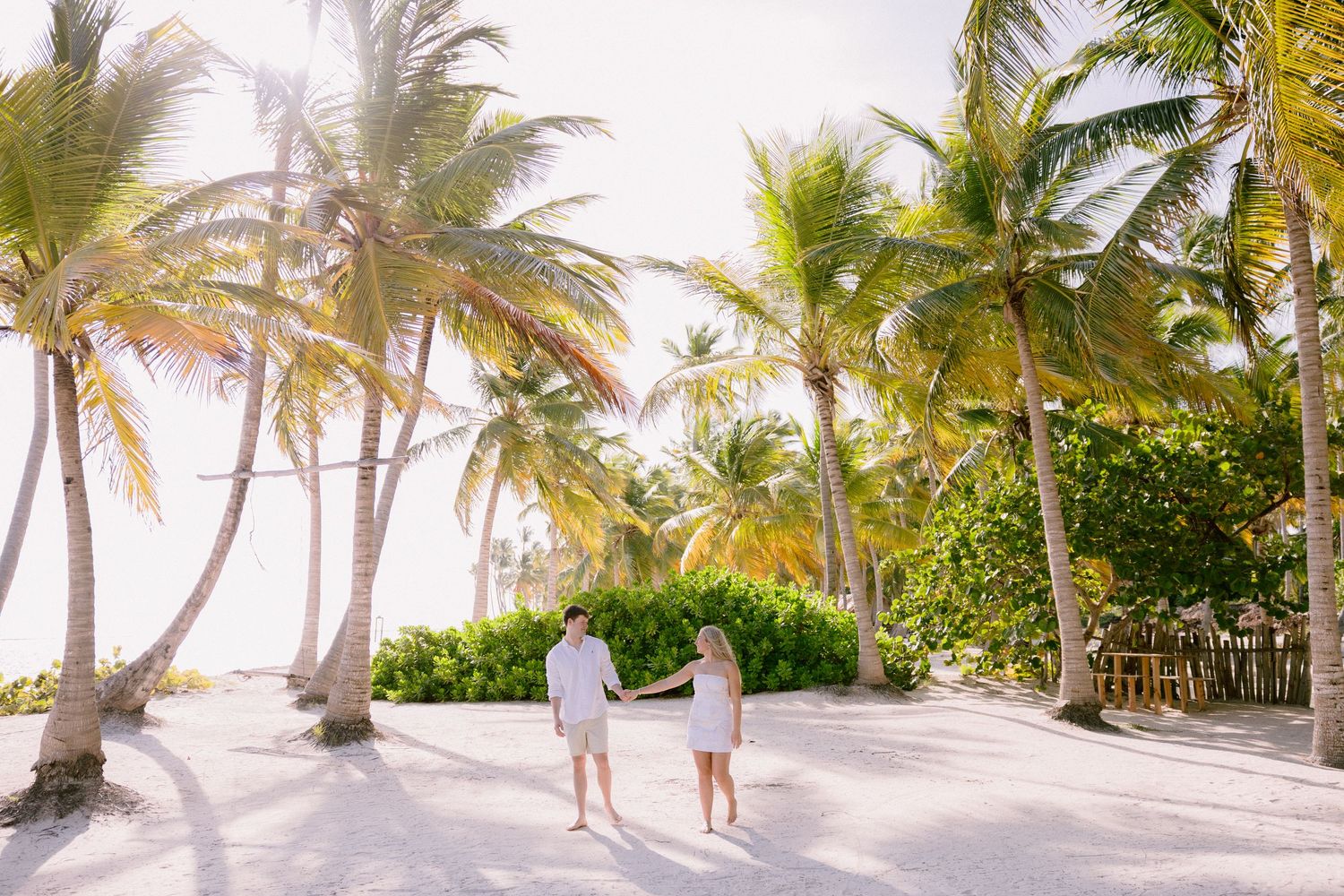 Panoramic view of a tropical beach with tall palm trees swaying in the breeze along white sandy shoreline.