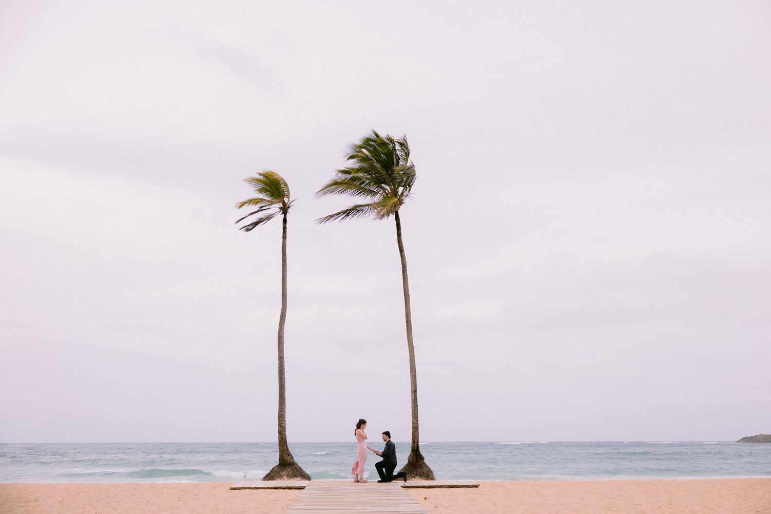 Couple sharing a romantic beach proposal between two tall palm trees on a sandy shore under an overcast sky.