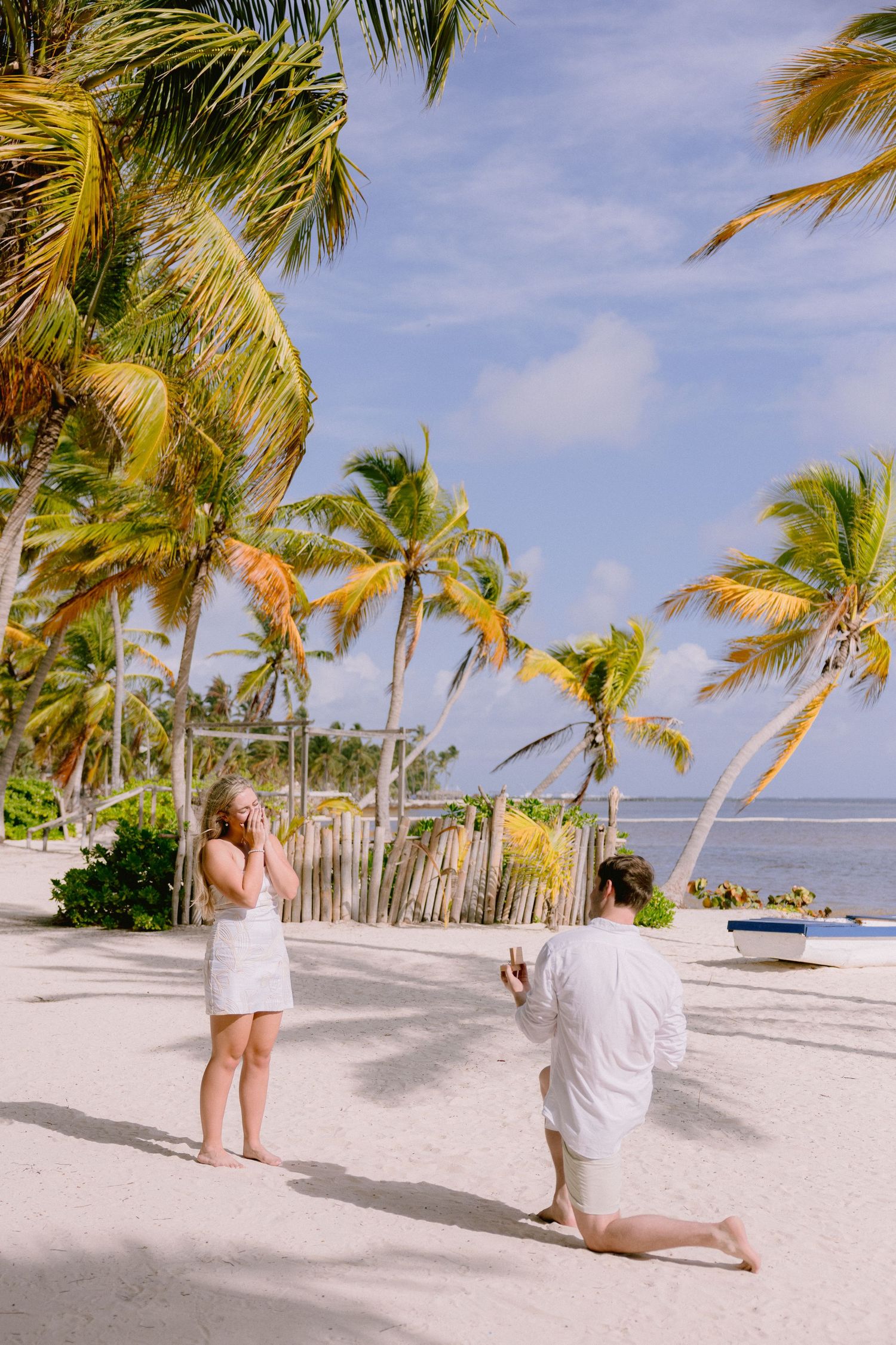 A romantic beach proposal scene with palm trees swaying in the breeze along a white sandy tropical shoreline.