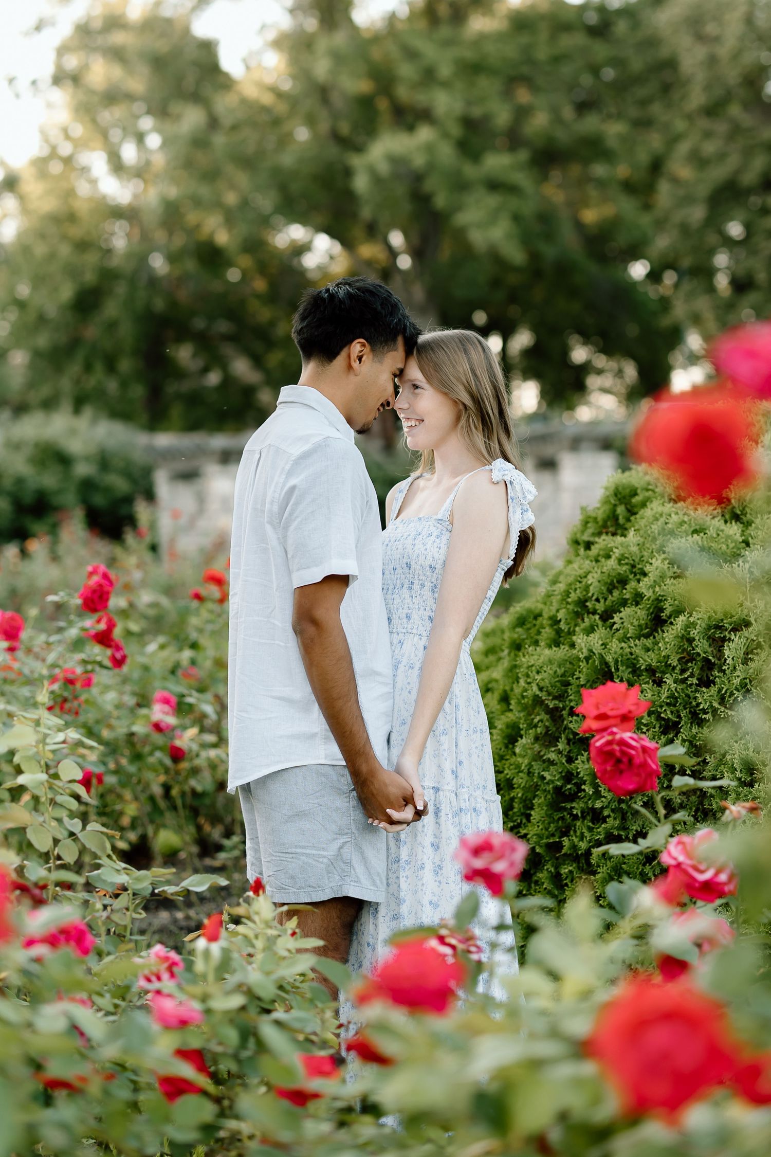 A romantic couple shares tender moments in a blooming rose garden with vibrant red flowers in the foreground.