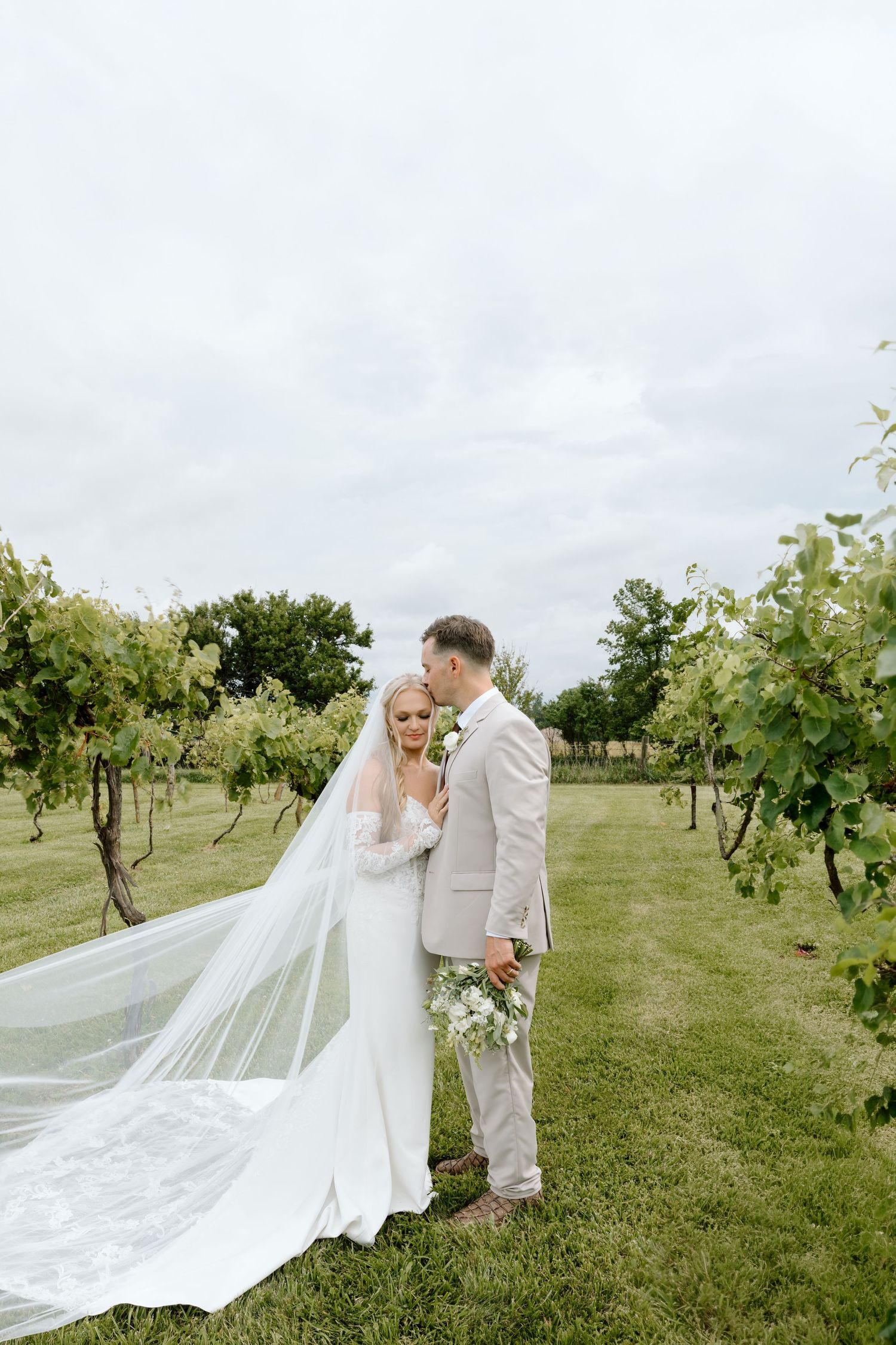 Bride and groom share a tender moment in a lush vineyard, her long veil flowing gracefully as he kisses her forehead.