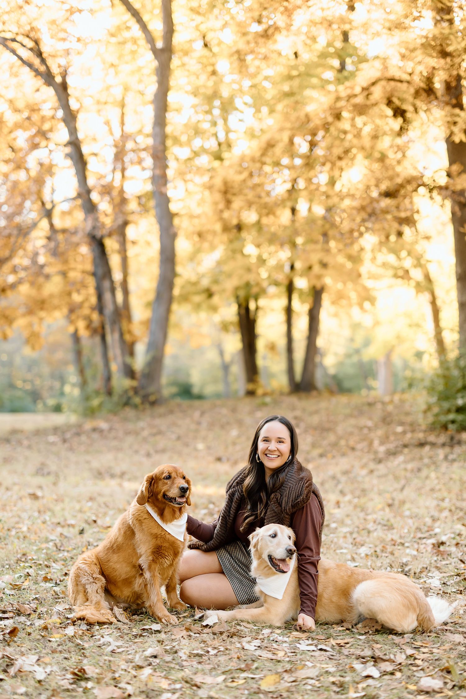 A person sits on autumn leaves with three dogs in a sunlit forest setting during golden hour.
