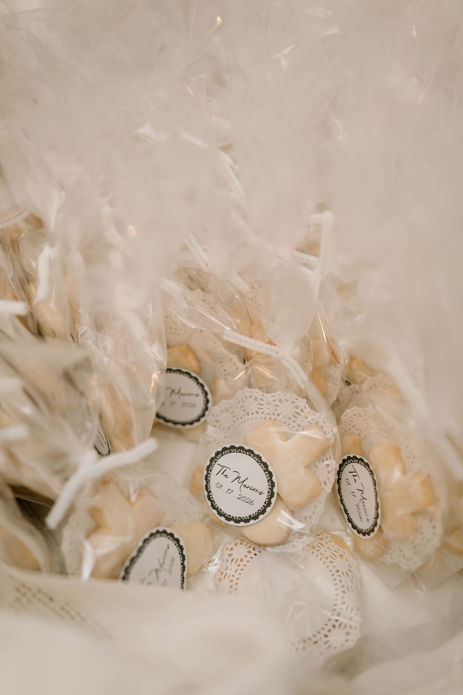Close-up macro view of delicate white dandelion seed head showing individual seeds with soft feathery details.