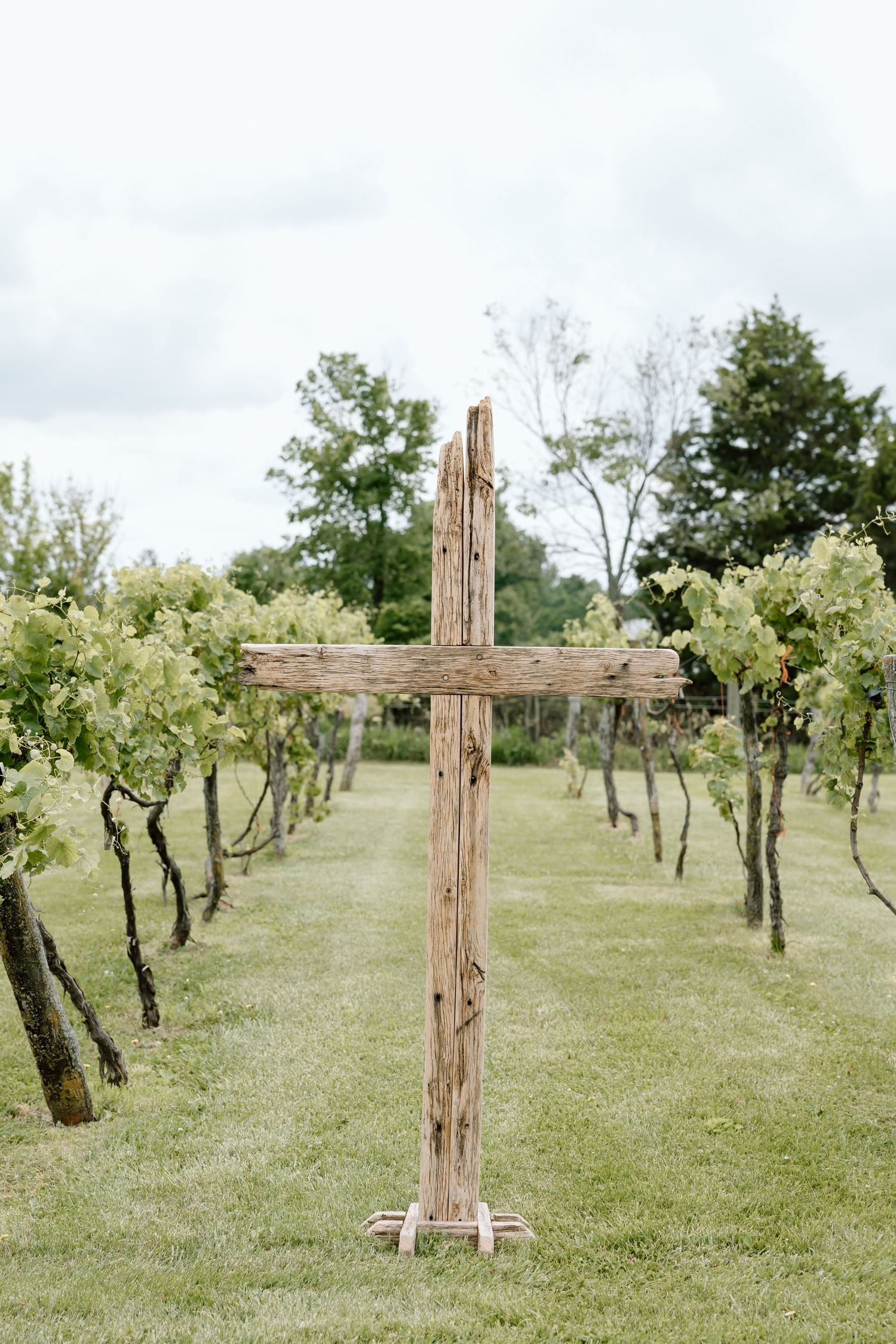 Rustic wooden cross standing in a lush green vineyard with rows of grapevines under a cloudy sky.