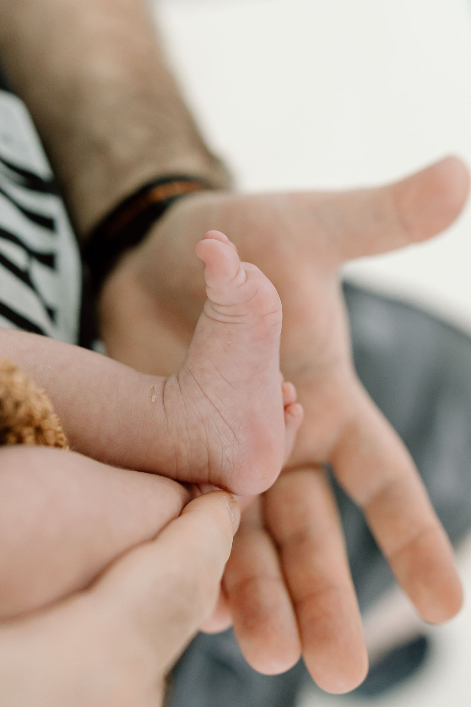 Close-up view of tiny baby foot being gently held in adult hands against light background.