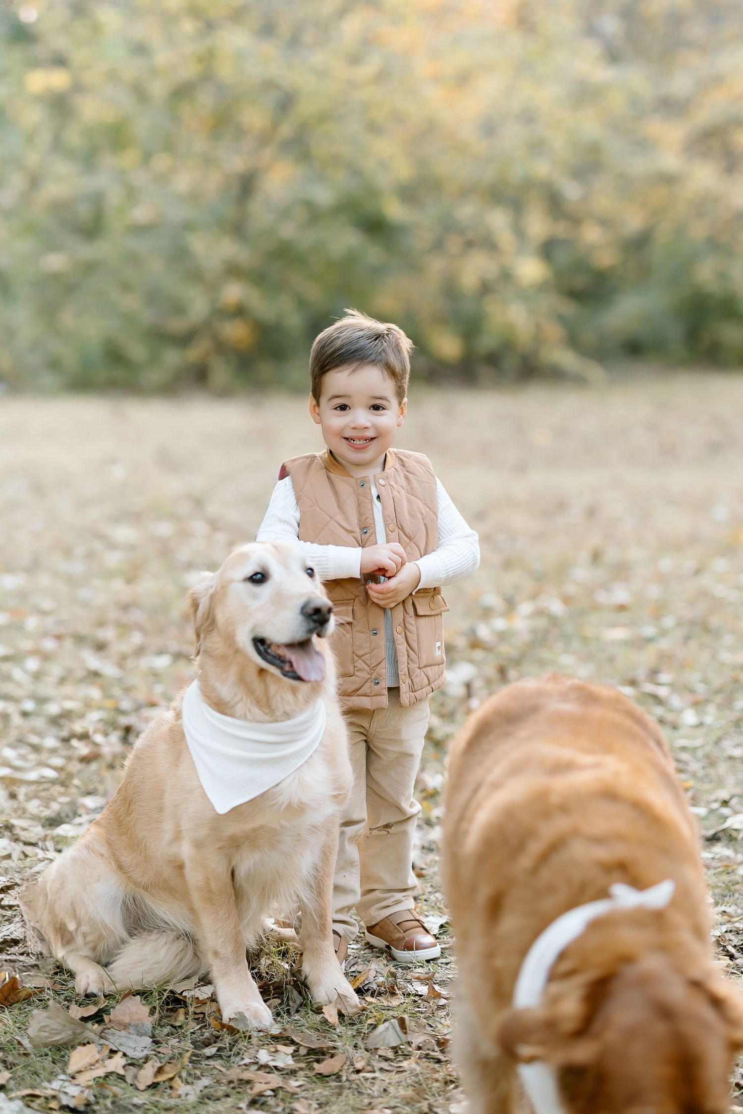 A child in brown overalls plays outdoors with two golden retriever dogs on an autumn day with fallen leaves.