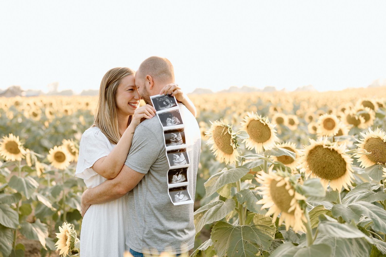 A couple embraces in a golden sunflower field during sunset creating a romantic silhouette.