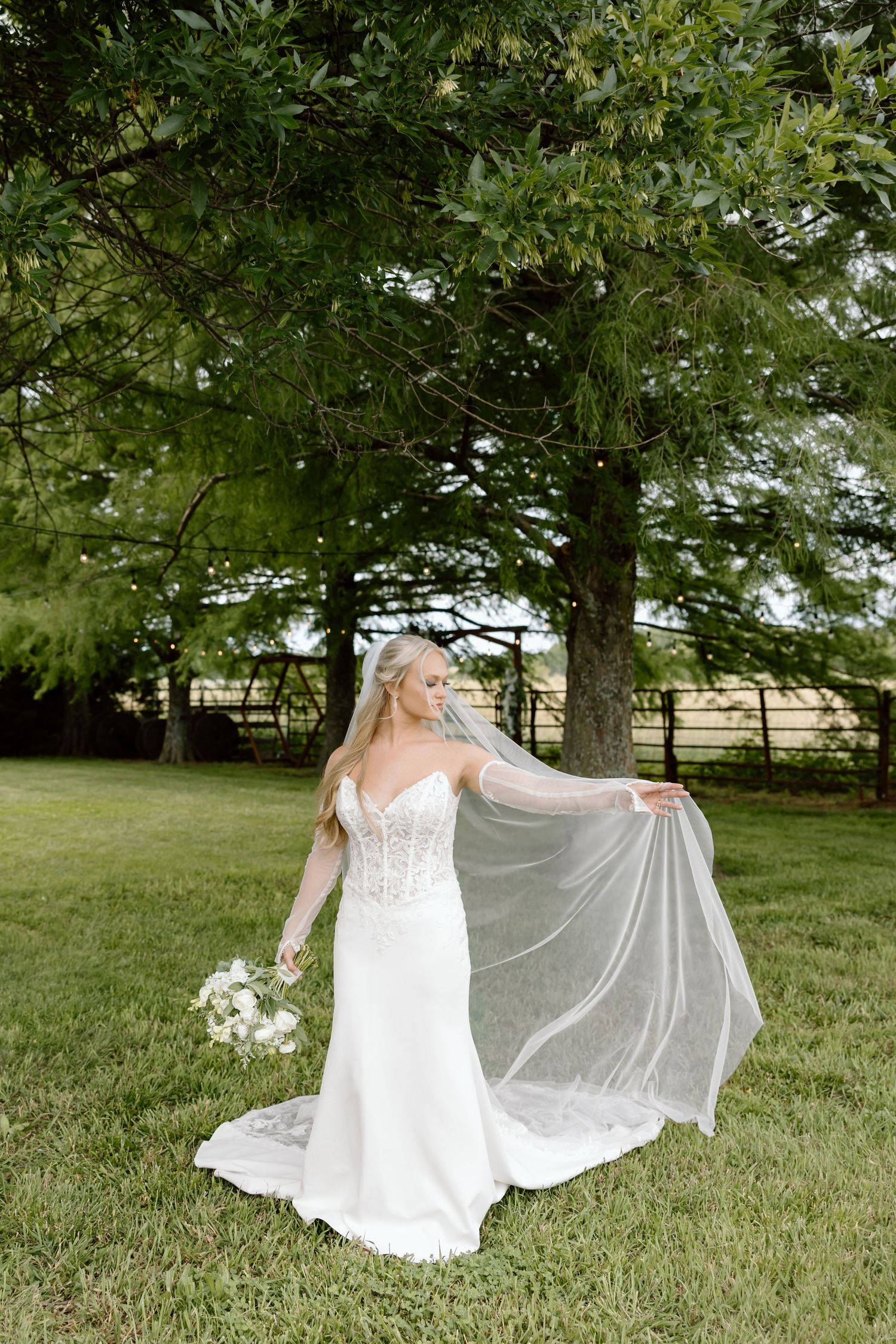 Bride in white lace gown holding bouquet, flowing veil caught in breeze, posing under large tree on green lawn.