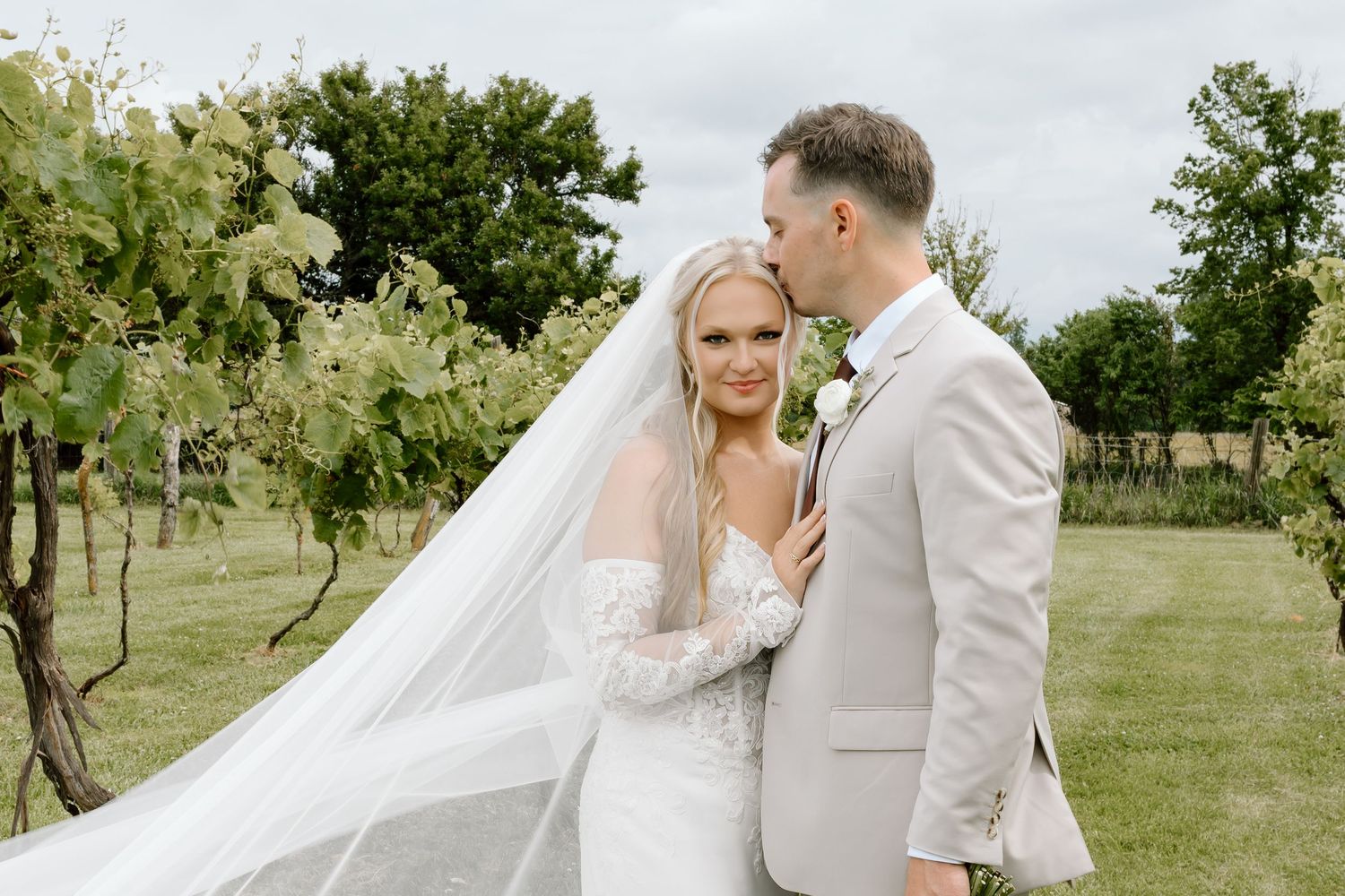 Bride and groom share a romantic kiss in a vineyard, bride wearing lace gown and veil, groom in light gray suit.