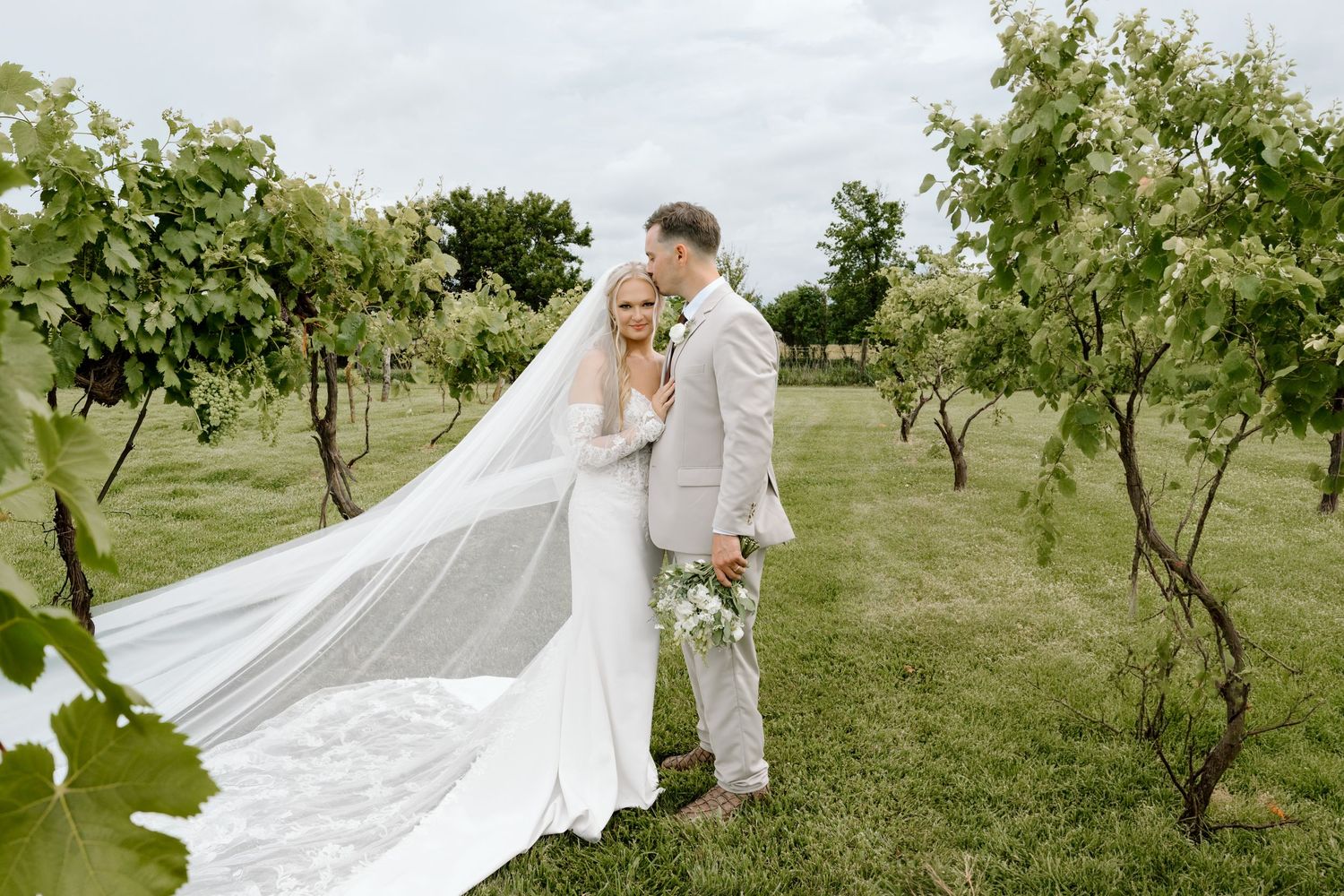 Bride and groom kissing in lush vineyard, bride wearing long veil and white gown, groom in light gray suit.