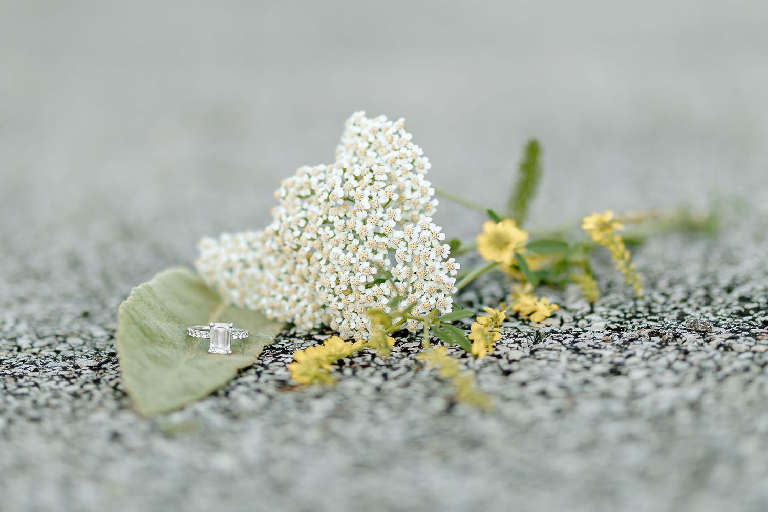 Delicate white wildflowers and small yellow blooms laying on textured gray surface in soft focus macro shot.
