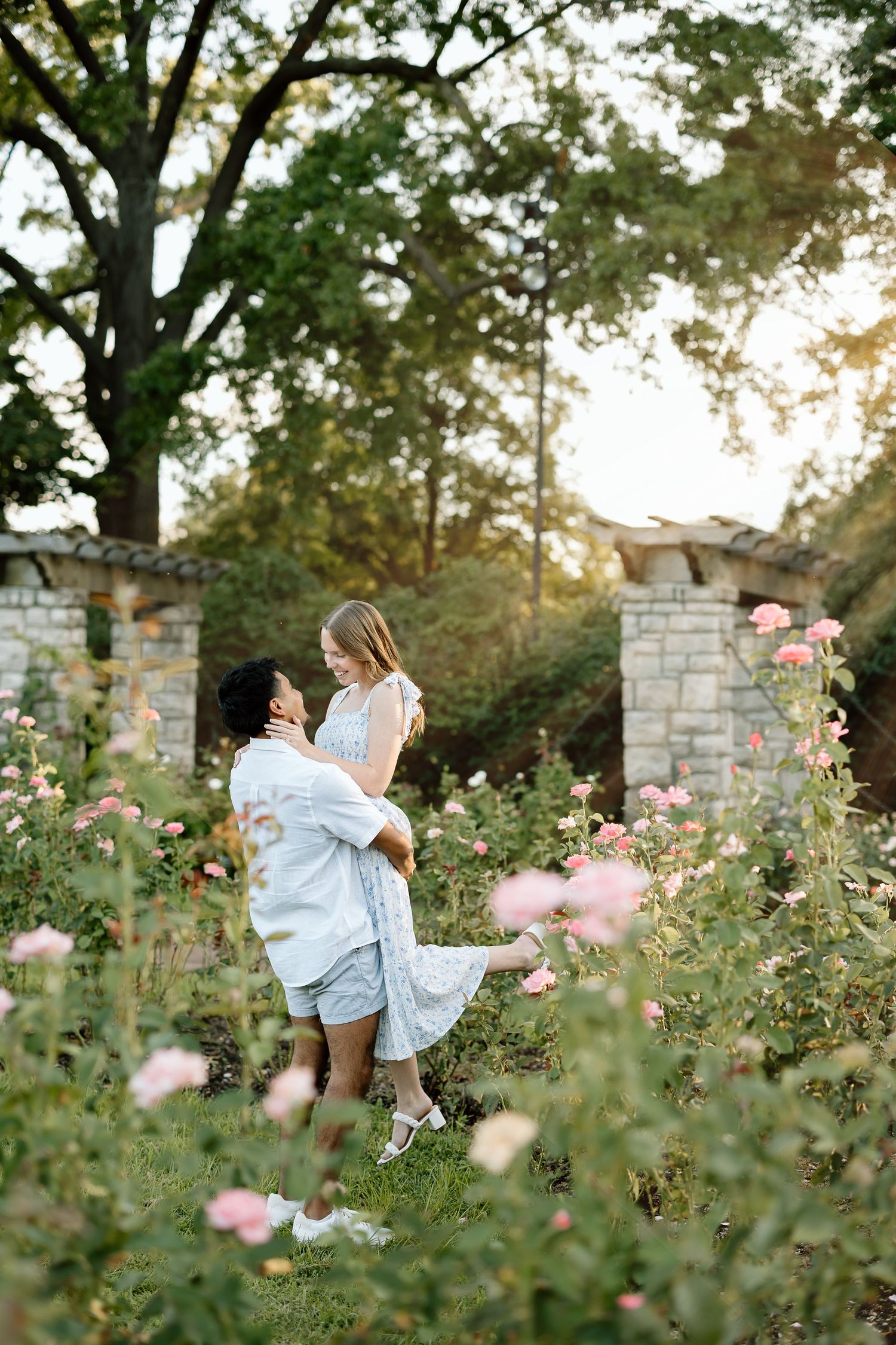 A romantic couple embraces in a blooming rose garden during golden hour sunset light.