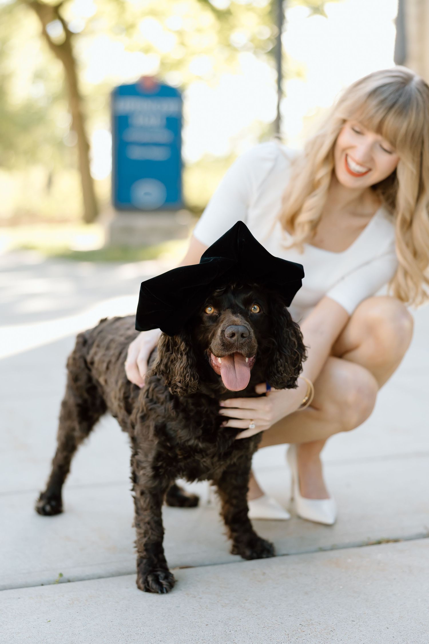 A playful black cocker spaniel puppy poses with its owner on a bright outdoor patio in a series of candid shots.