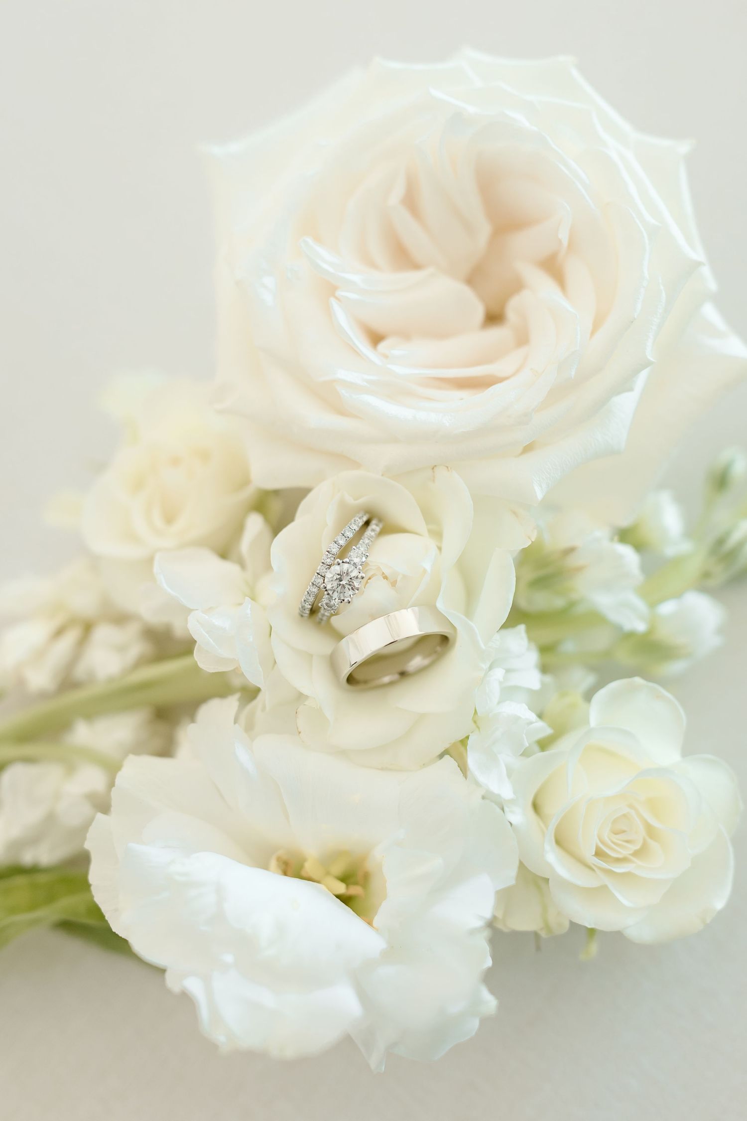 Delicate cream-colored roses and lisianthus flowers form an elegant arrangement on a soft white background.