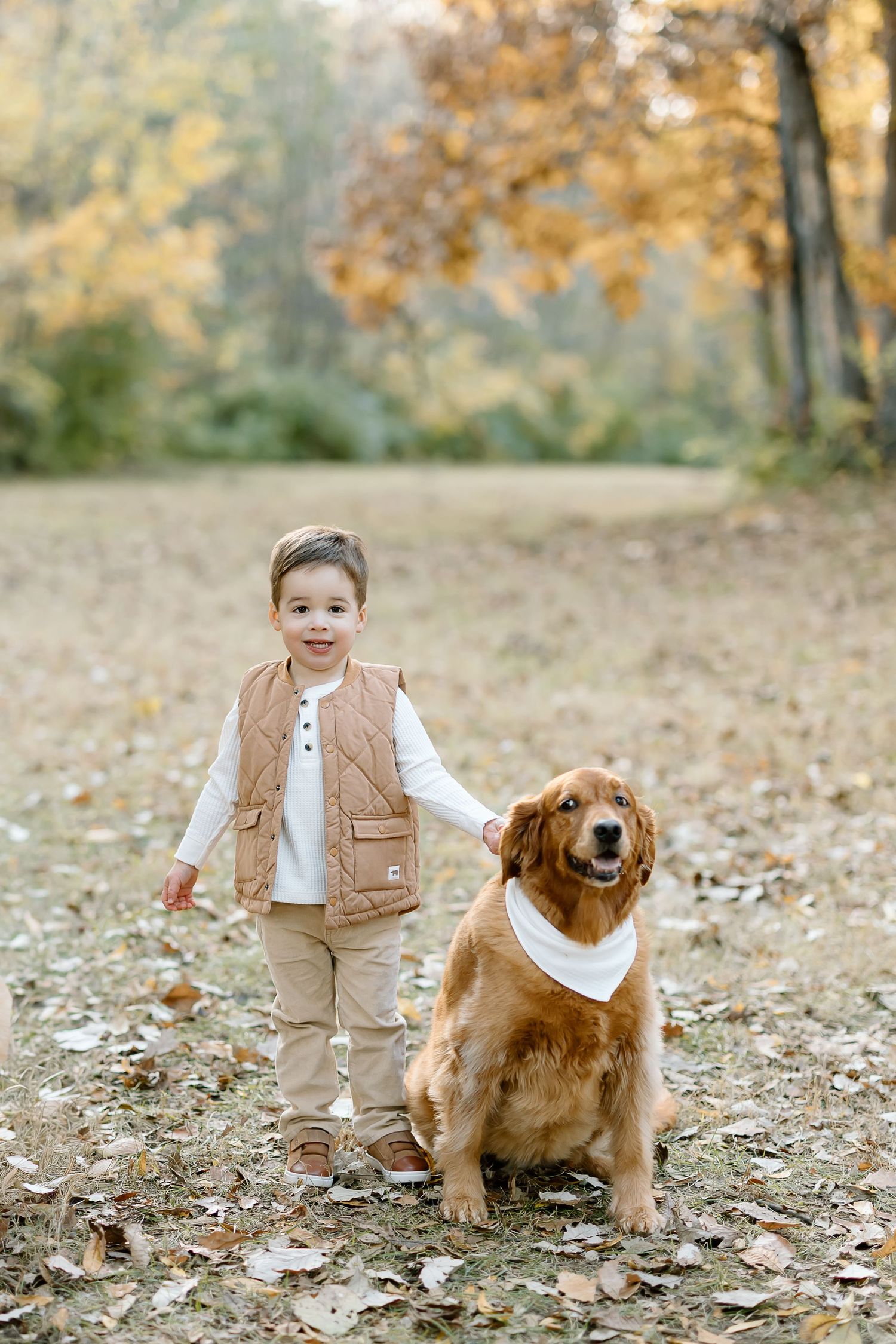 A Golden Retriever dog poses playfully with a small companion on autumn leaves in a park setting.