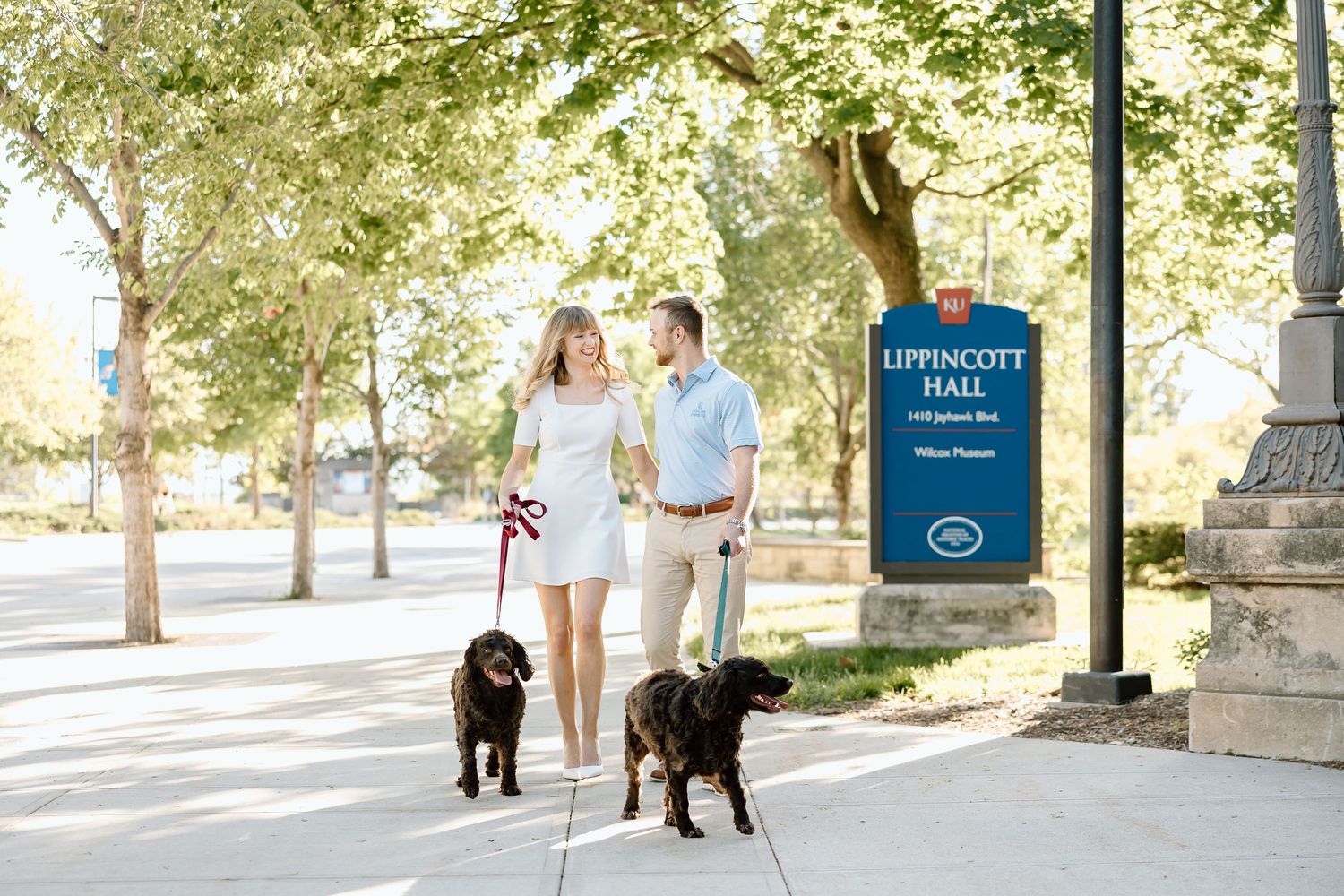 A chocolate Labrador retriever walks with its owner on a tree-lined path during a sunny day.