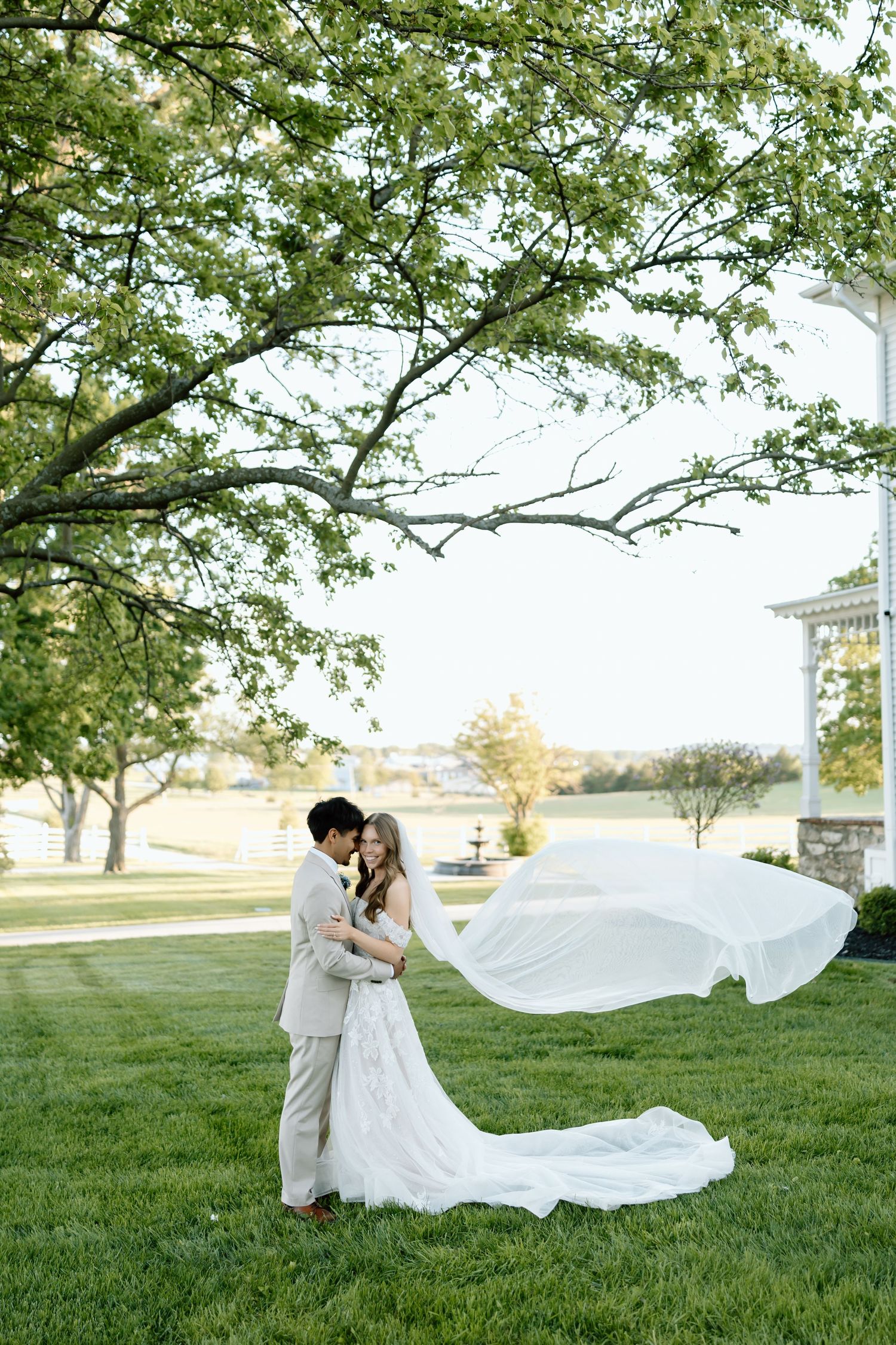 Bride and groom embrace under blooming tree with veil flowing in wind on lush green lawn at outdoor wedding venue.